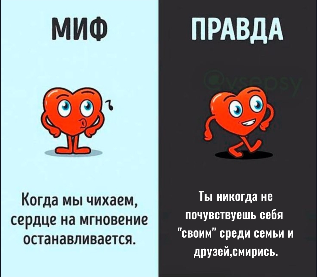 @шушик.🦭