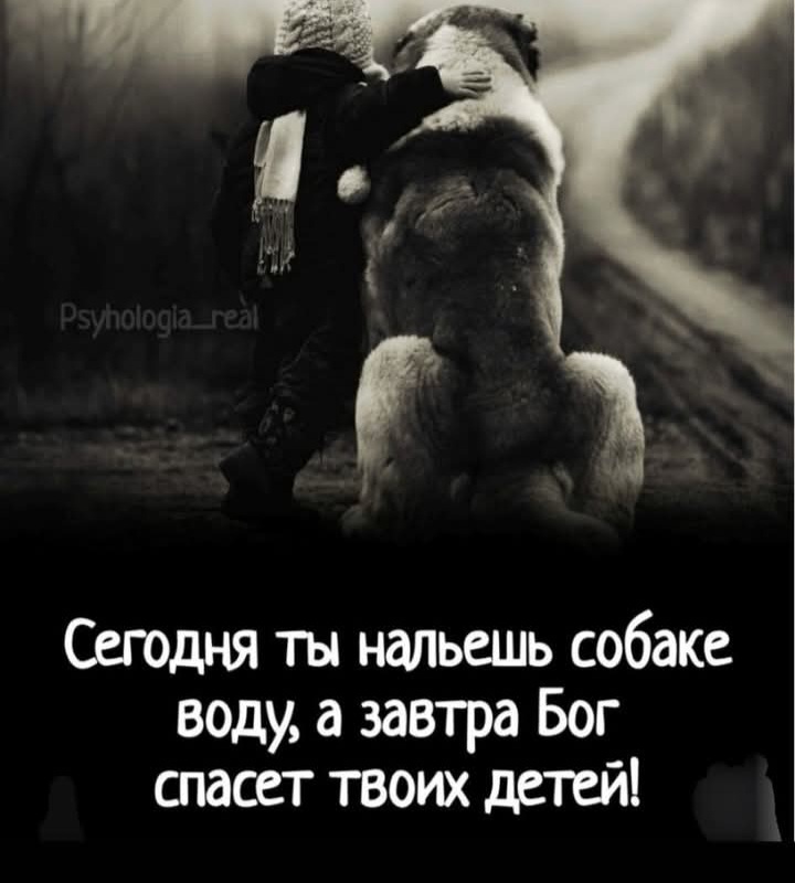 @Daulet Kuandykov