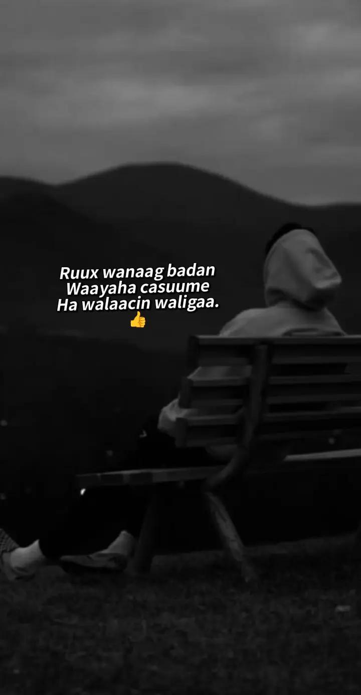 @Hanad🥈