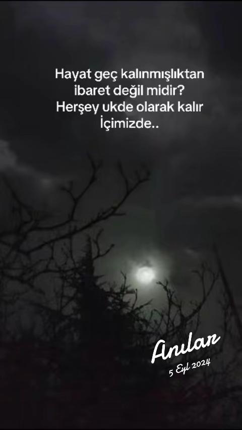 @🖤 ᔕᑌᔕKᑌᑎ ᗩᗪᗩᗰ🖤