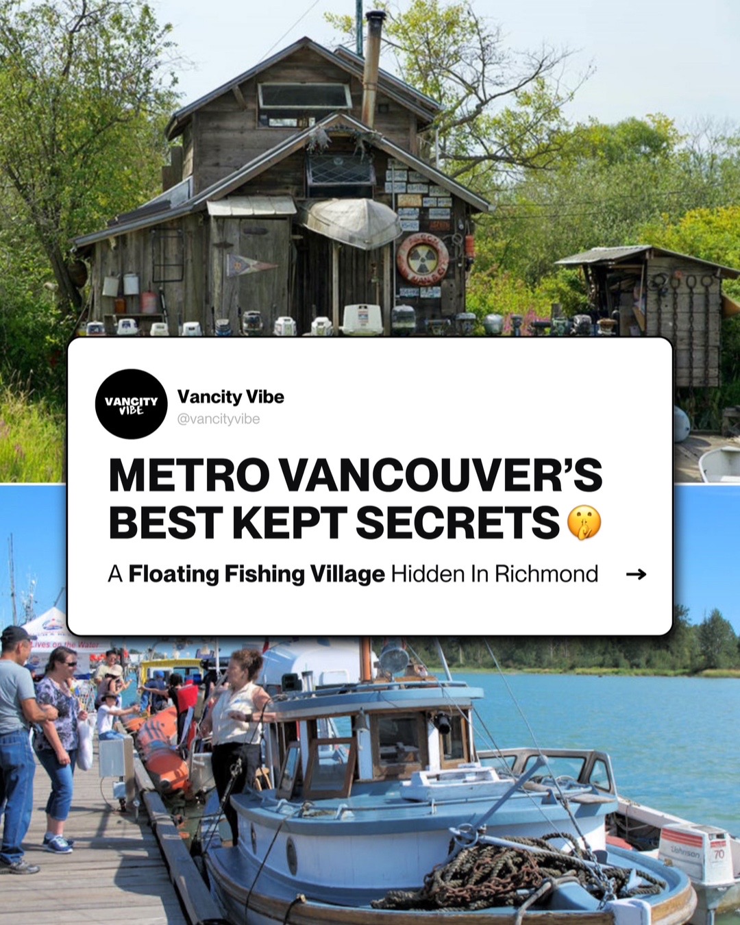 @vancityvibe