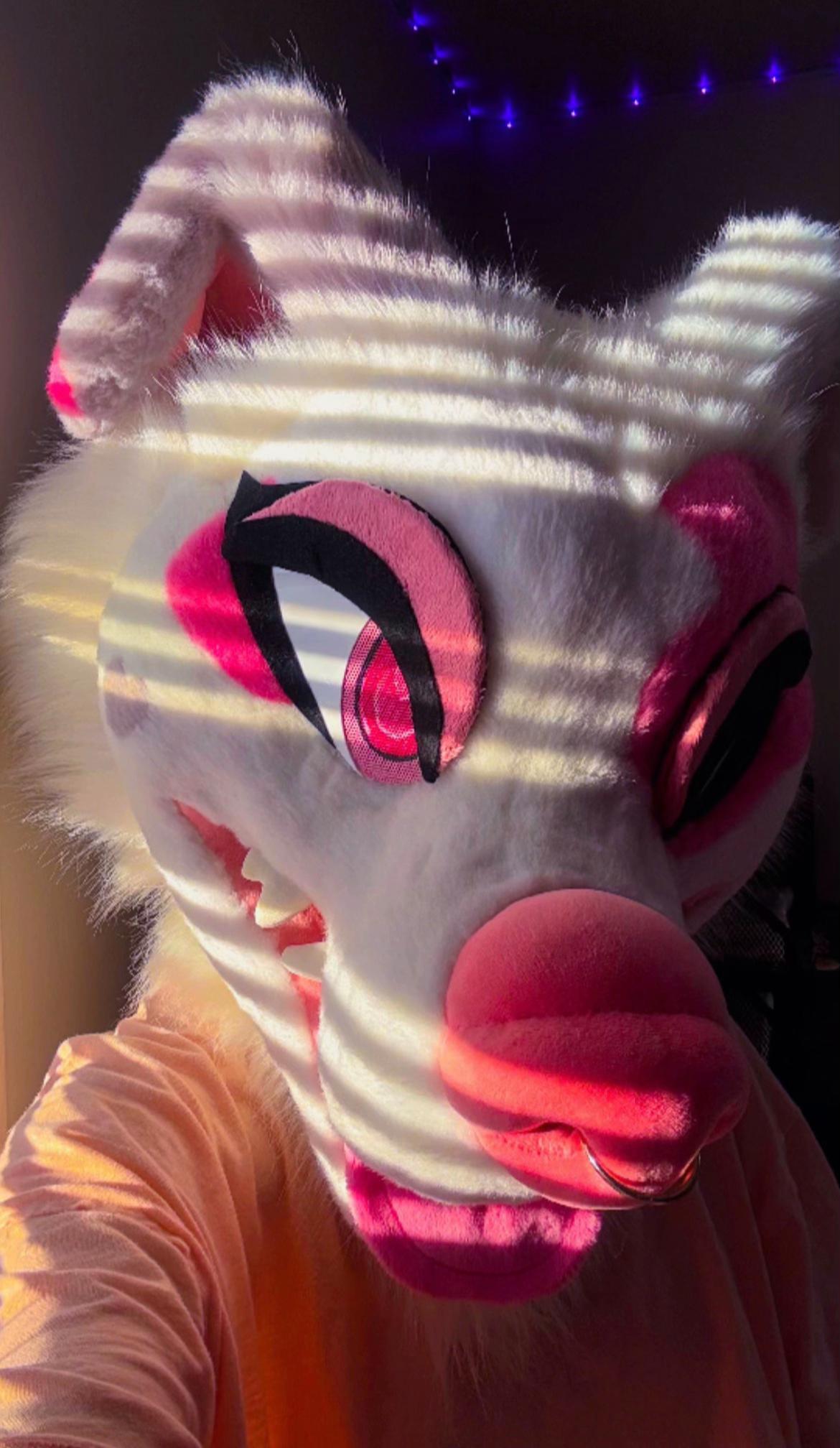 @chicagohuskygirl