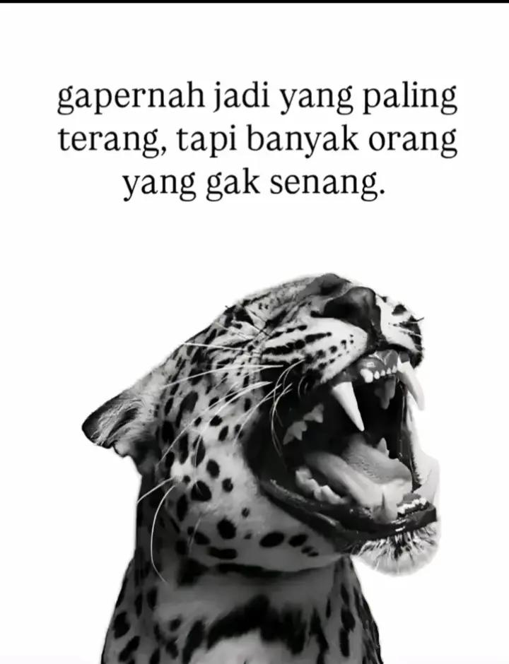 @diraww