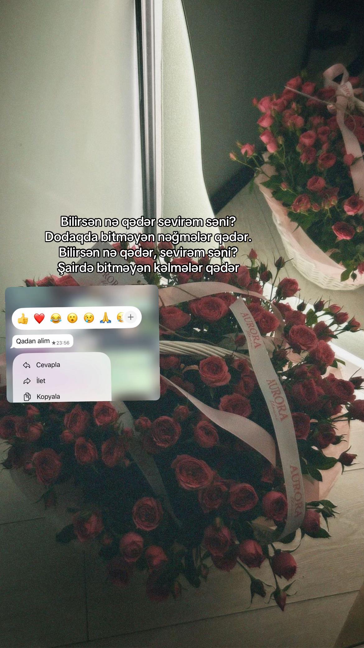@๐๐ค