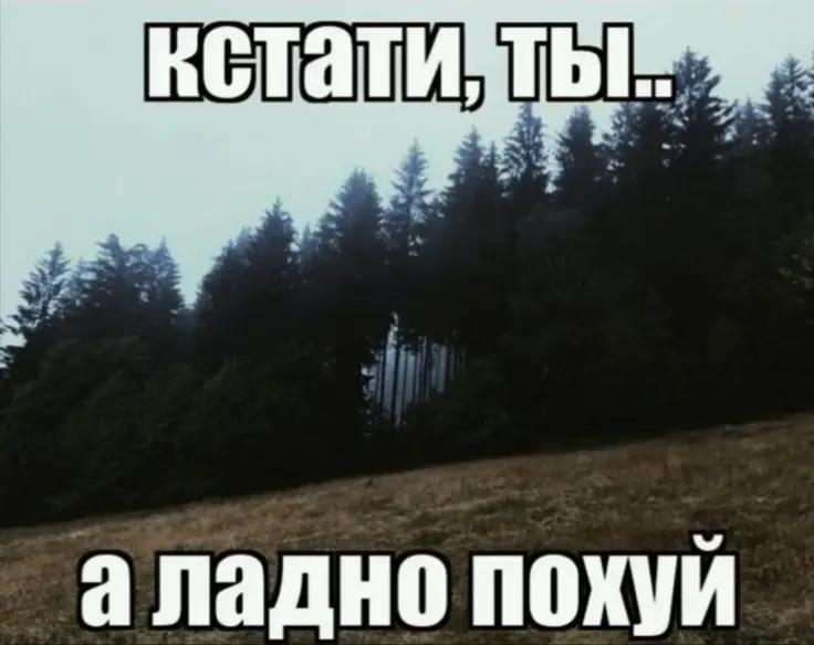 @Kortisss