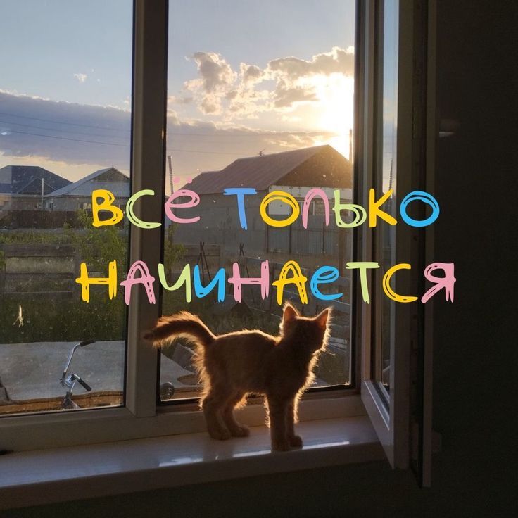 @ⲧⲁⲣⲟ ⲃыⲥɯυⲭ 🪬