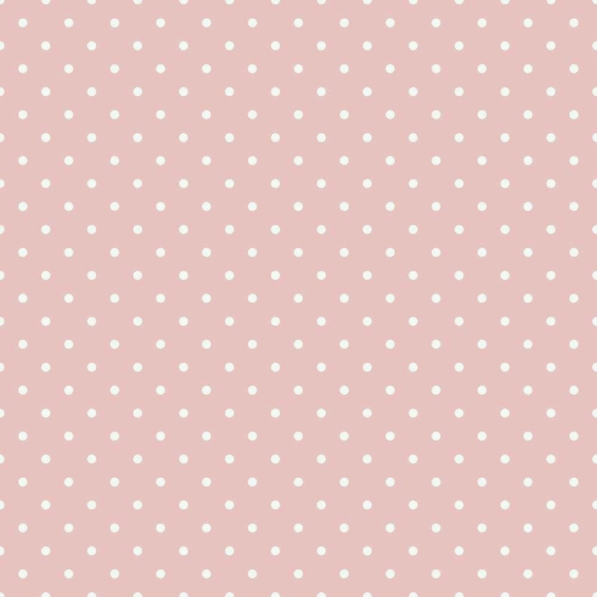 @꒰ঌ ⋮🧸ྀི ⋮ 𝐷𝑎𝑝ℎ𝑛𝑒 .ᐟ ໒꒱