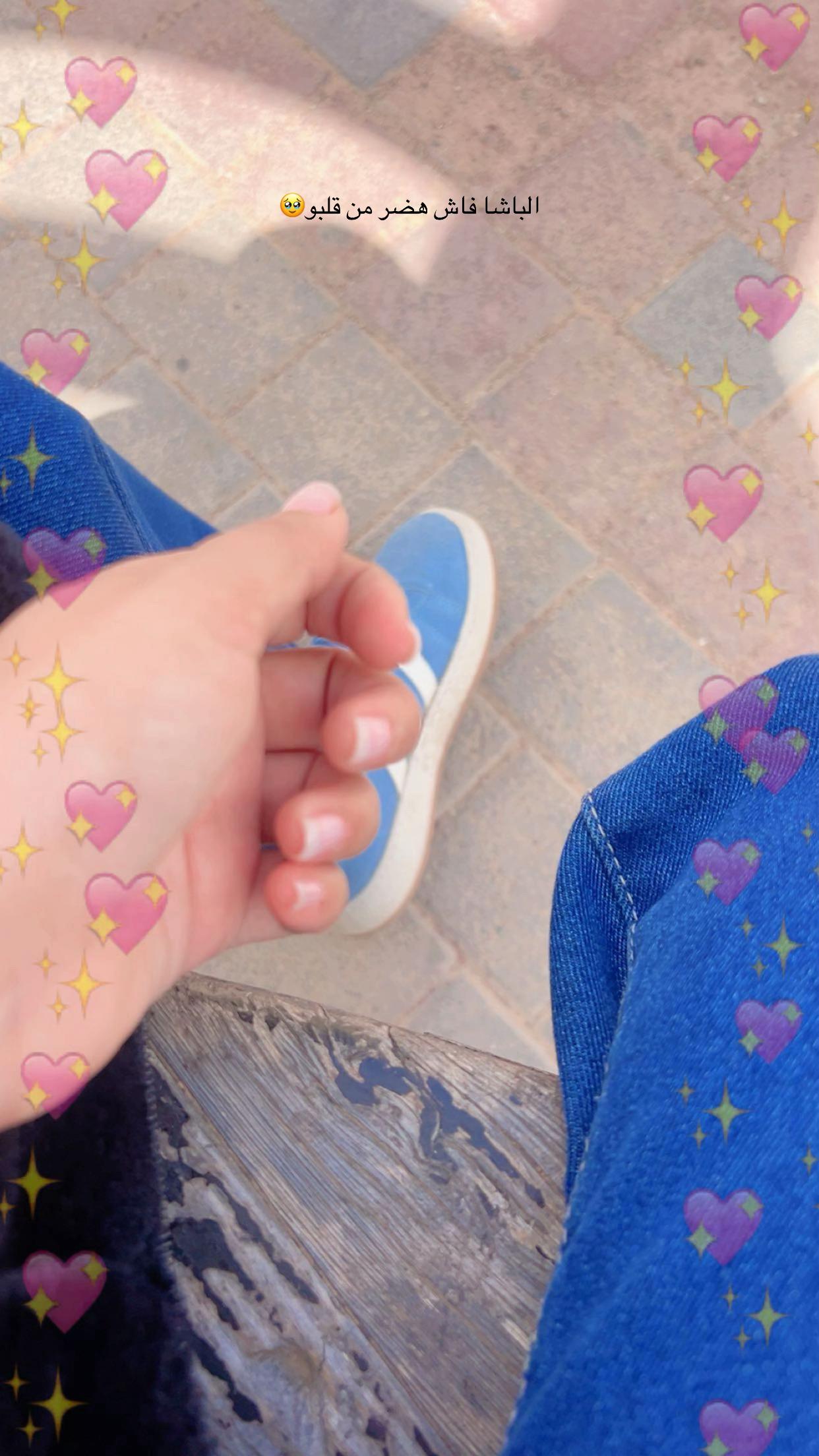 @🦋Papillion🦋