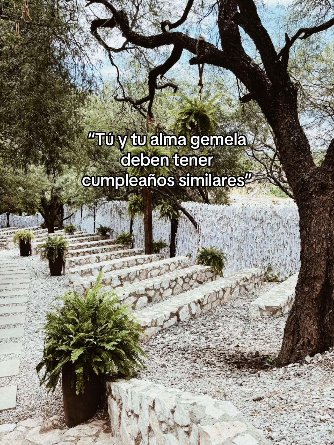 @Daniela Alegr&iacute;a 🫦