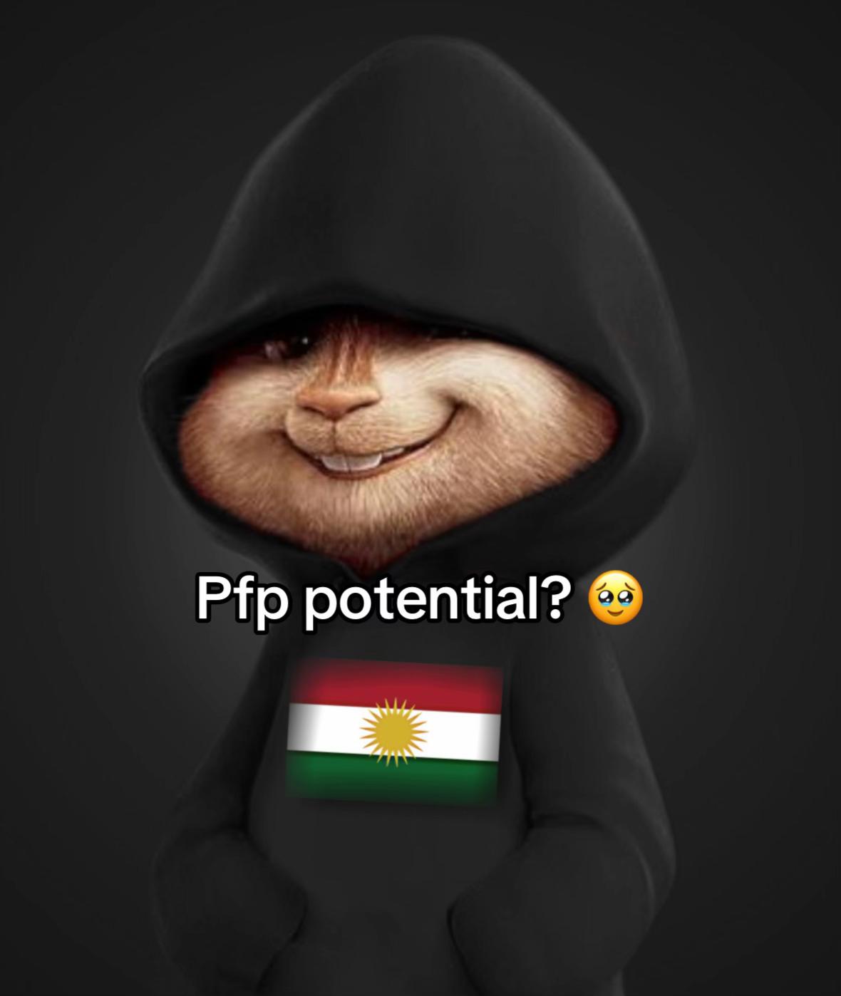 @kurdzo