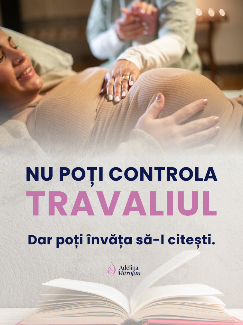 @Adelina Mitrofan