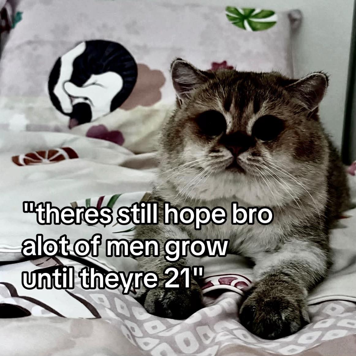 @Shortcel
