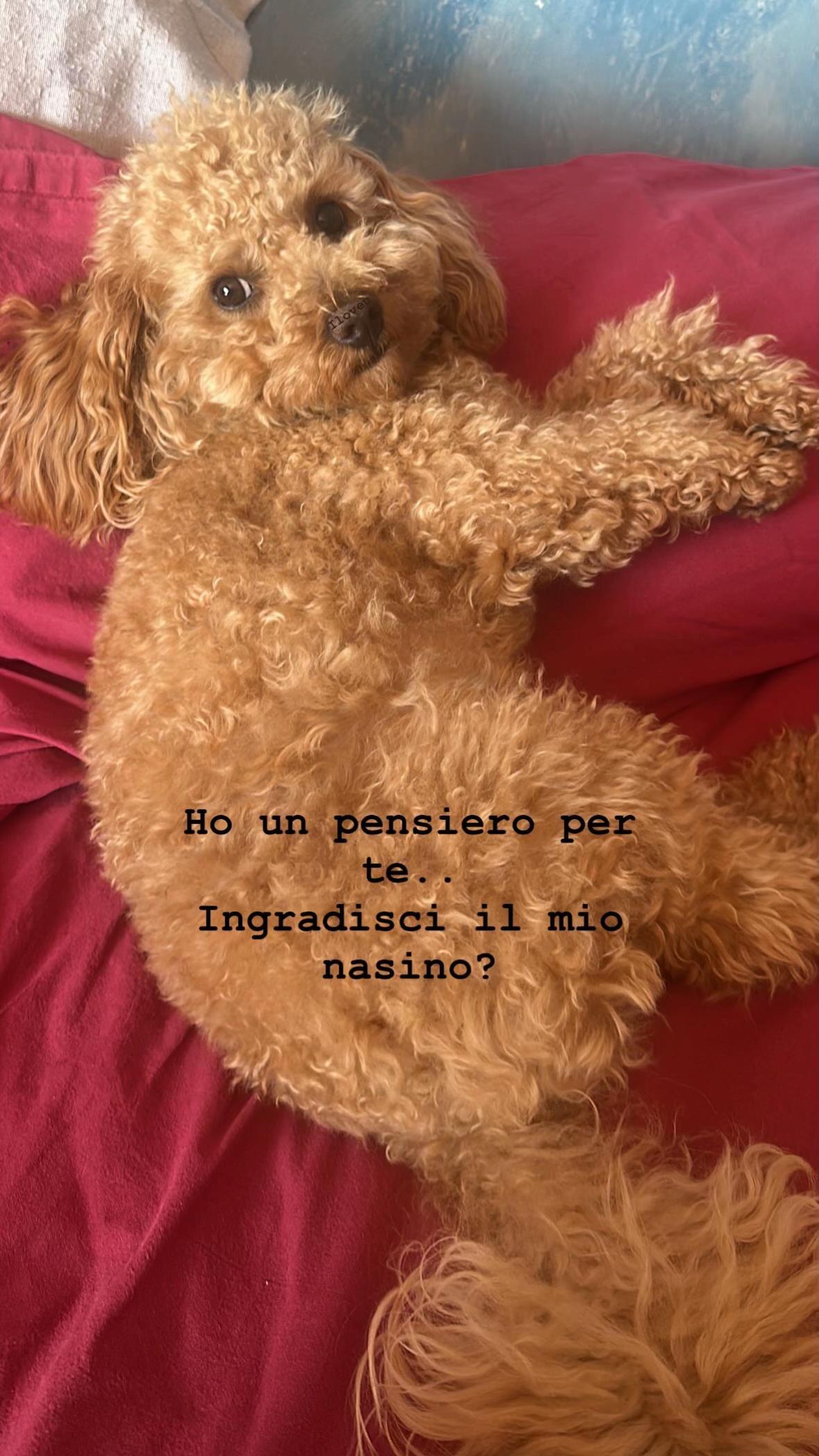 @_.jasminap._