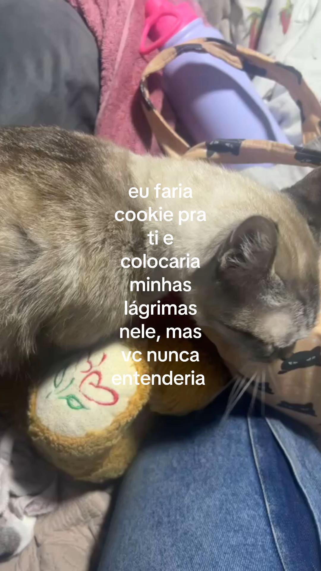 @gihmed