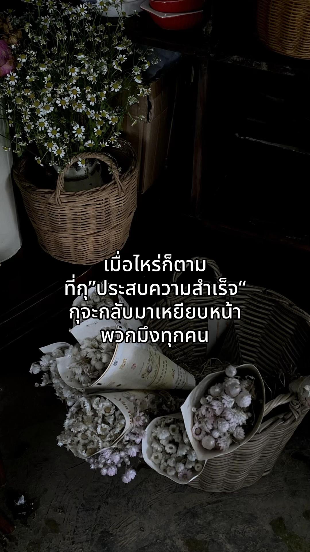 @ไทป์หมาแก่.🐶💤