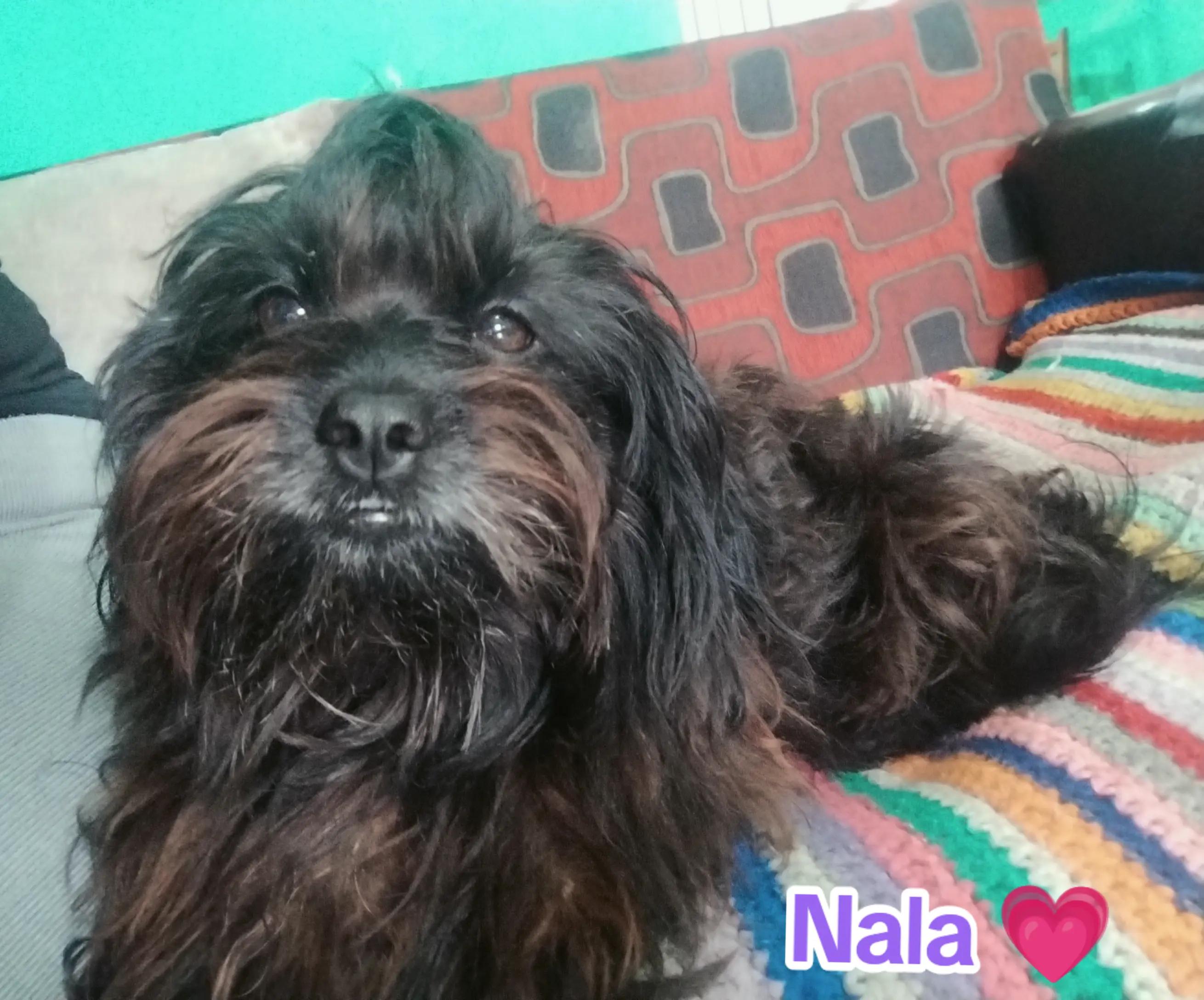 @Rocío💗imaz