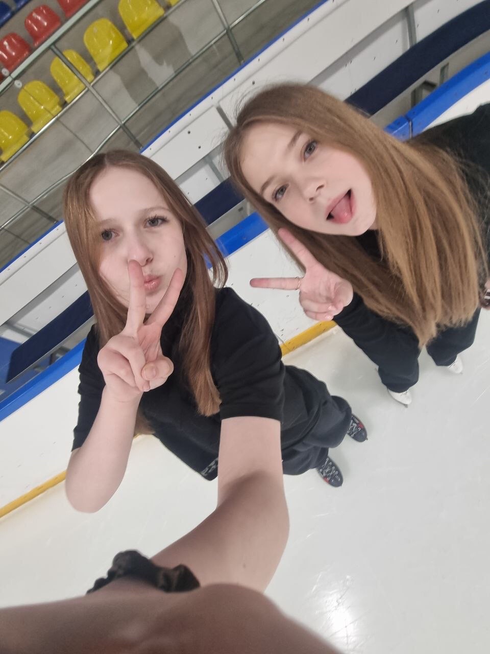 @🐩