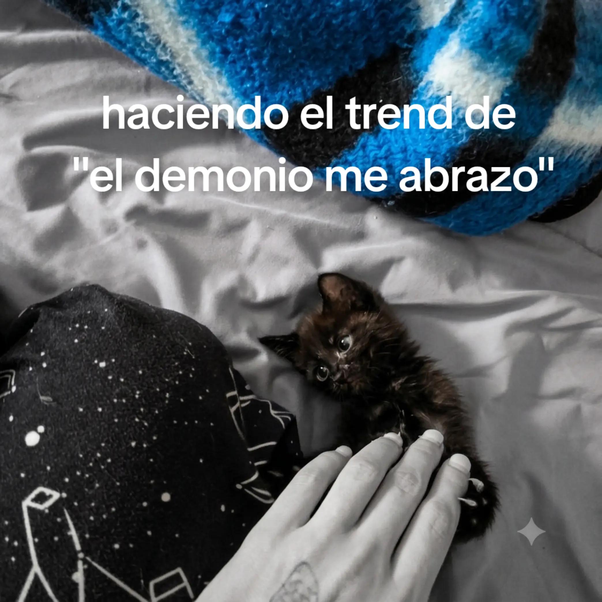 @nhoita