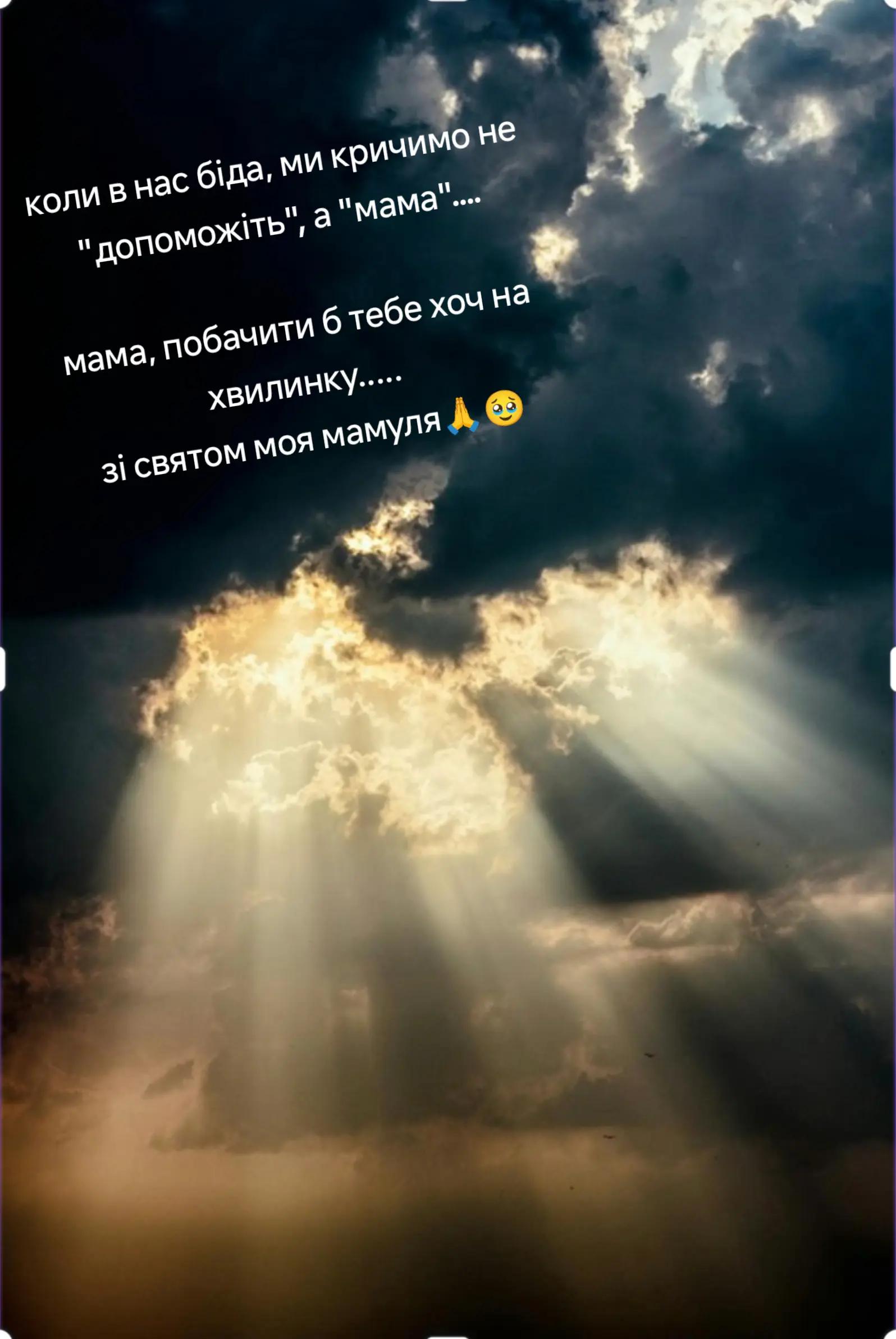 @muvimur
