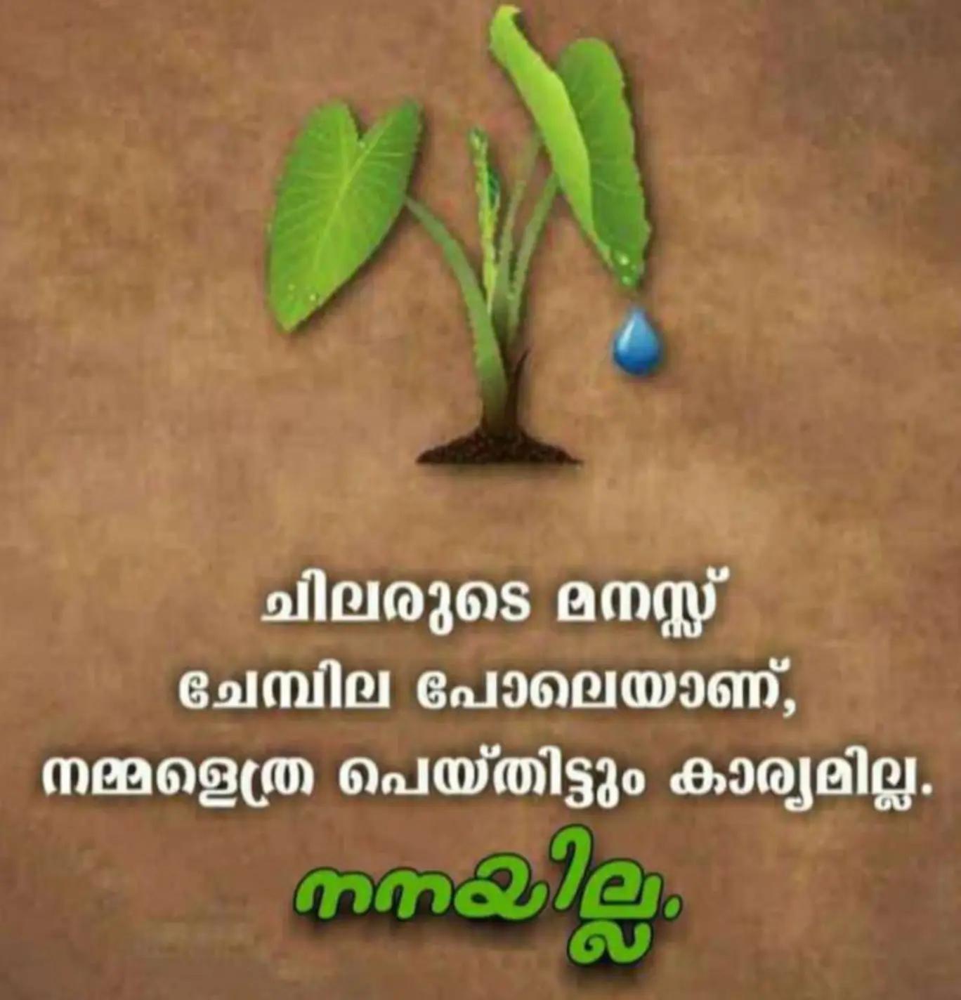 @zakir