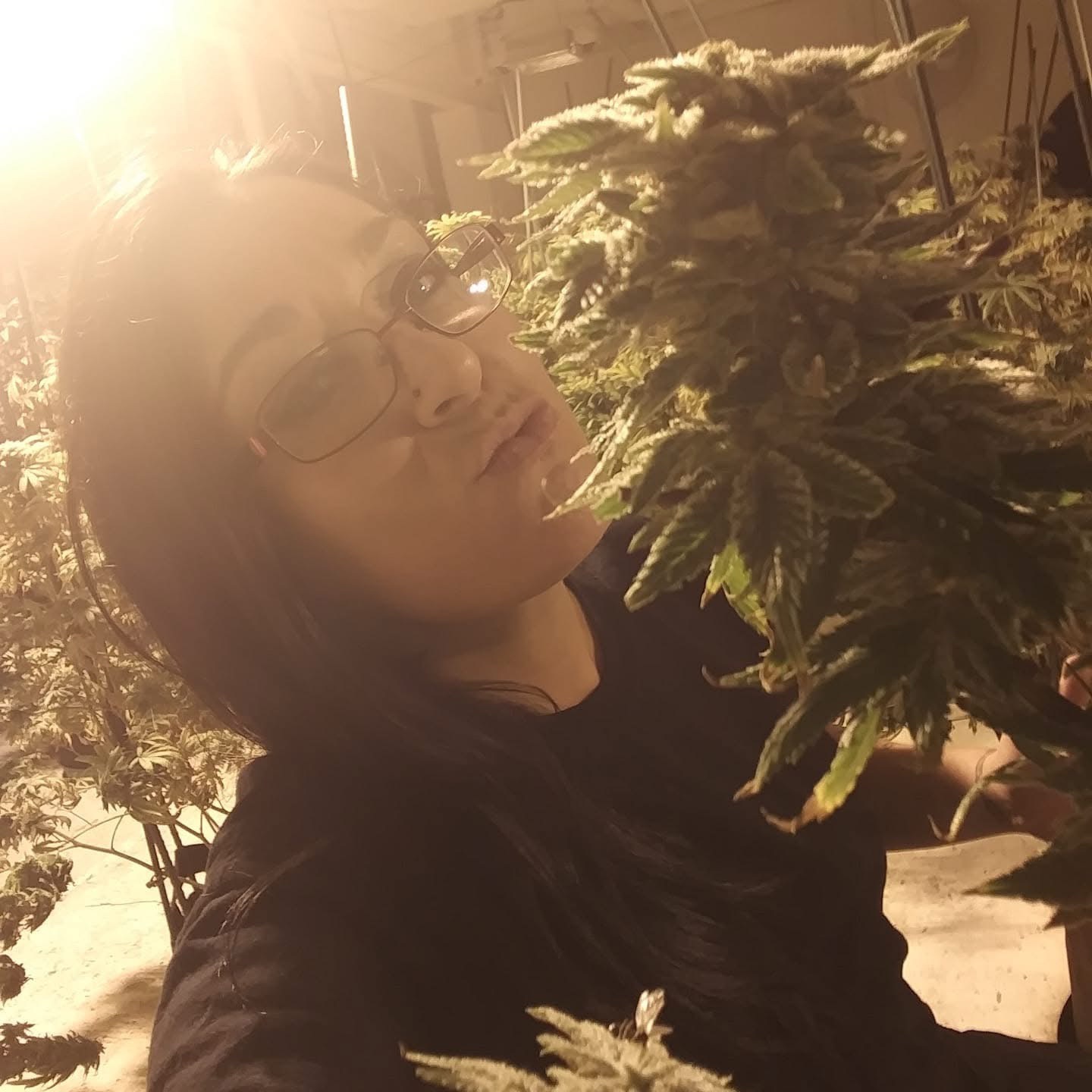 @Karma Rain Tokes