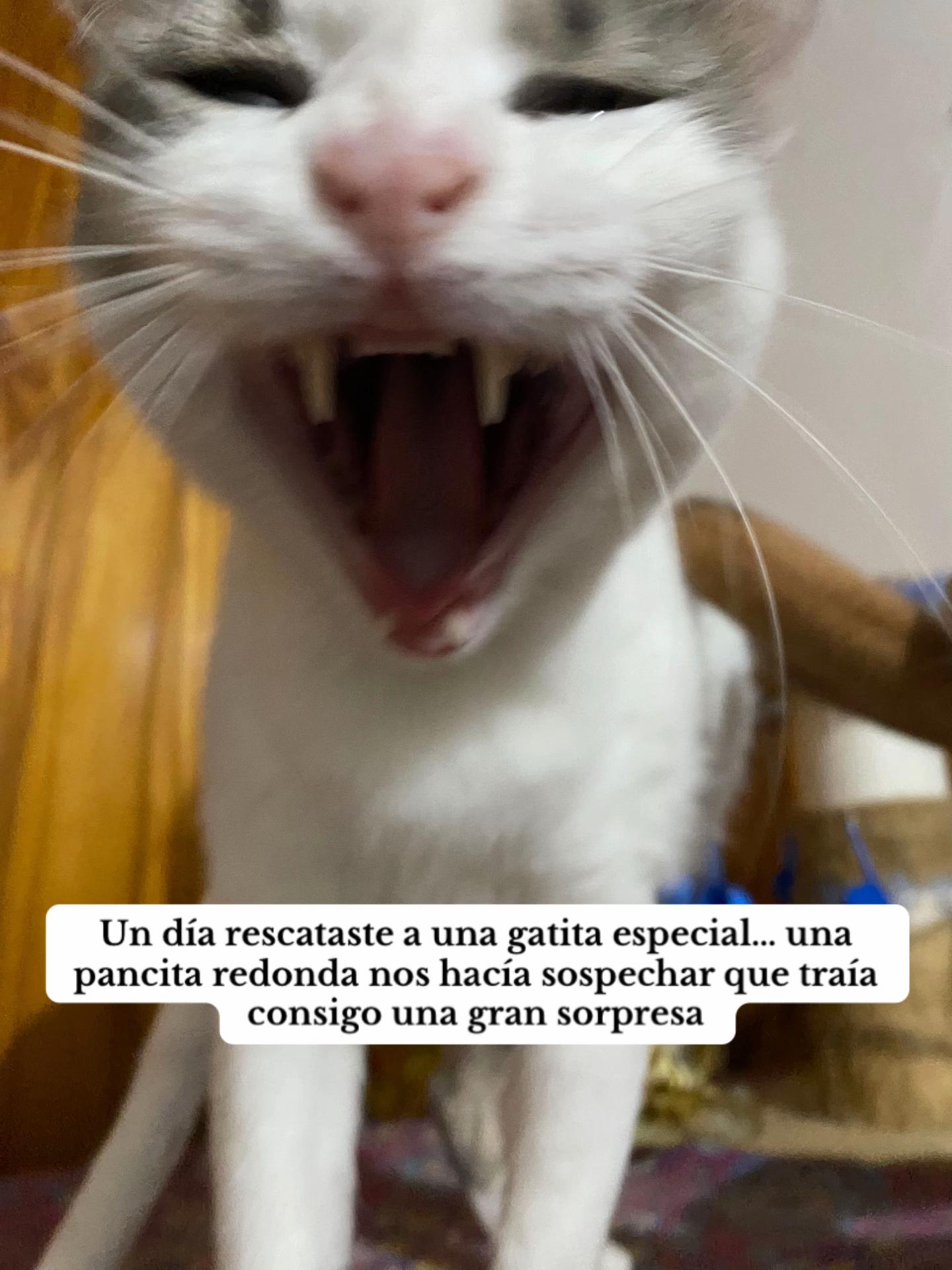 @Ayudanos a Ayudar
