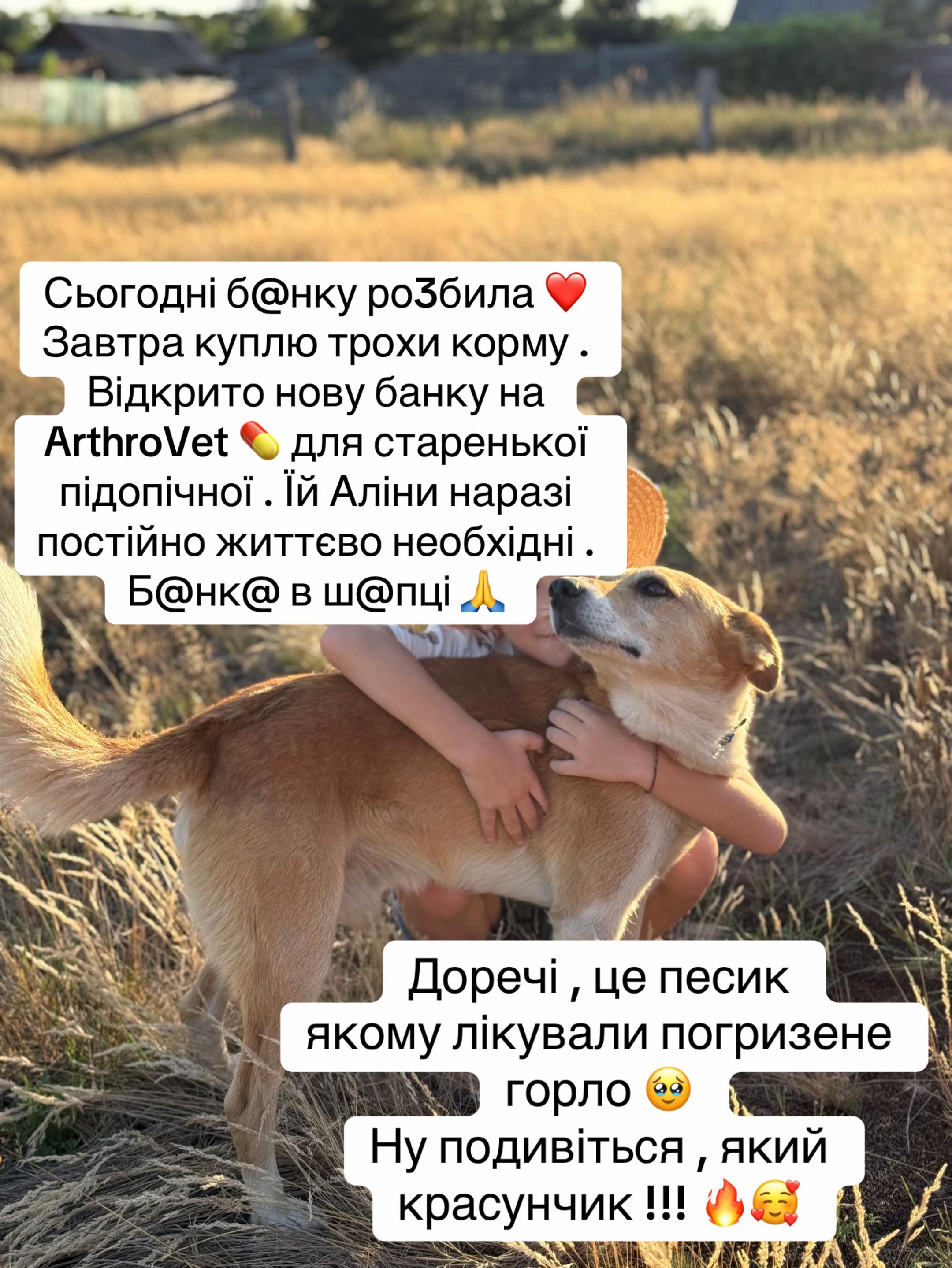 @tanya.help.animal
