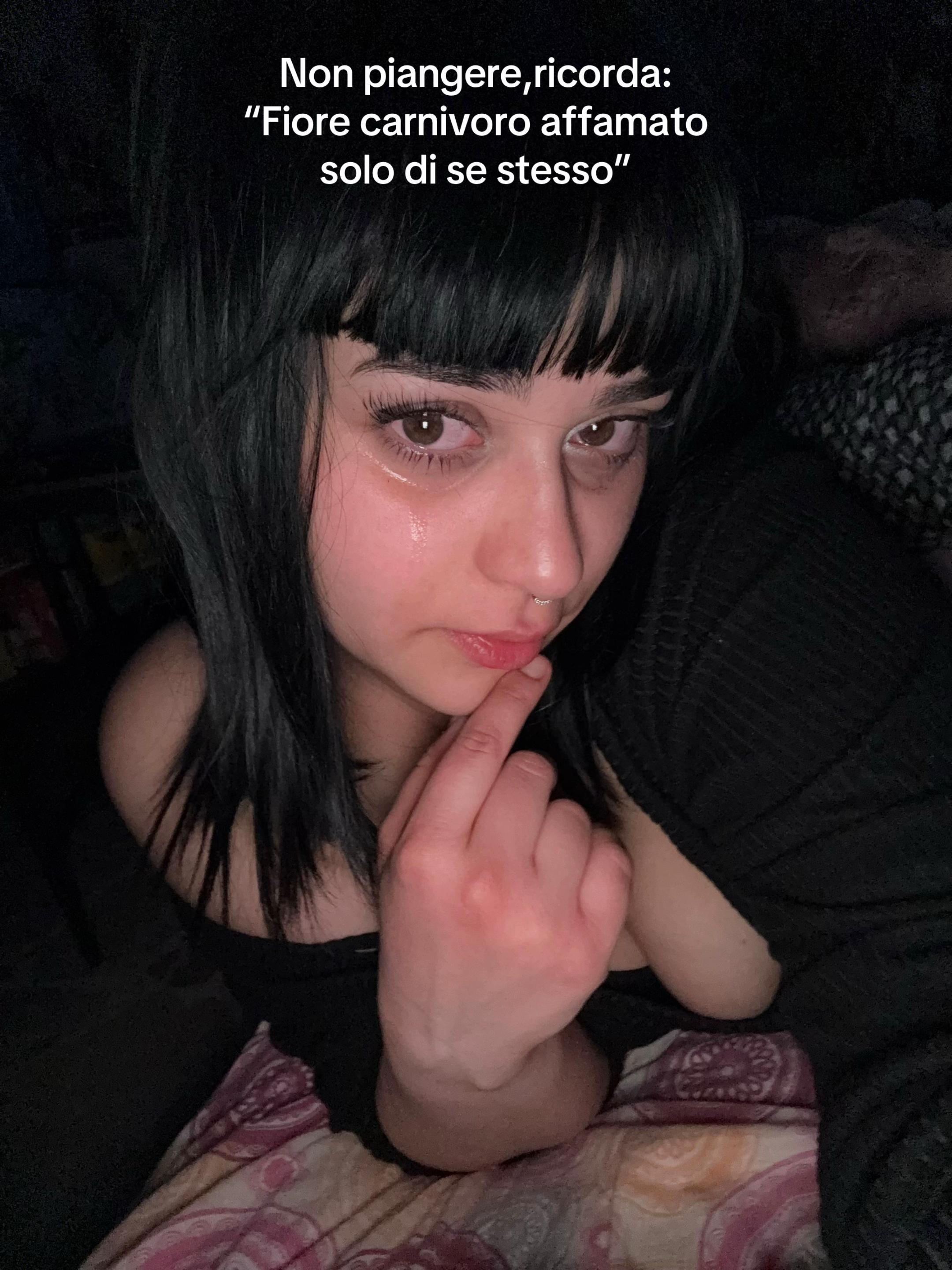 @Trucetek 🫐