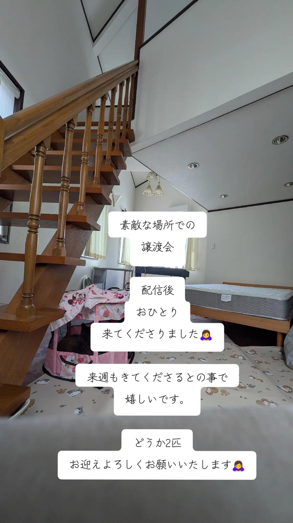 @てんきな