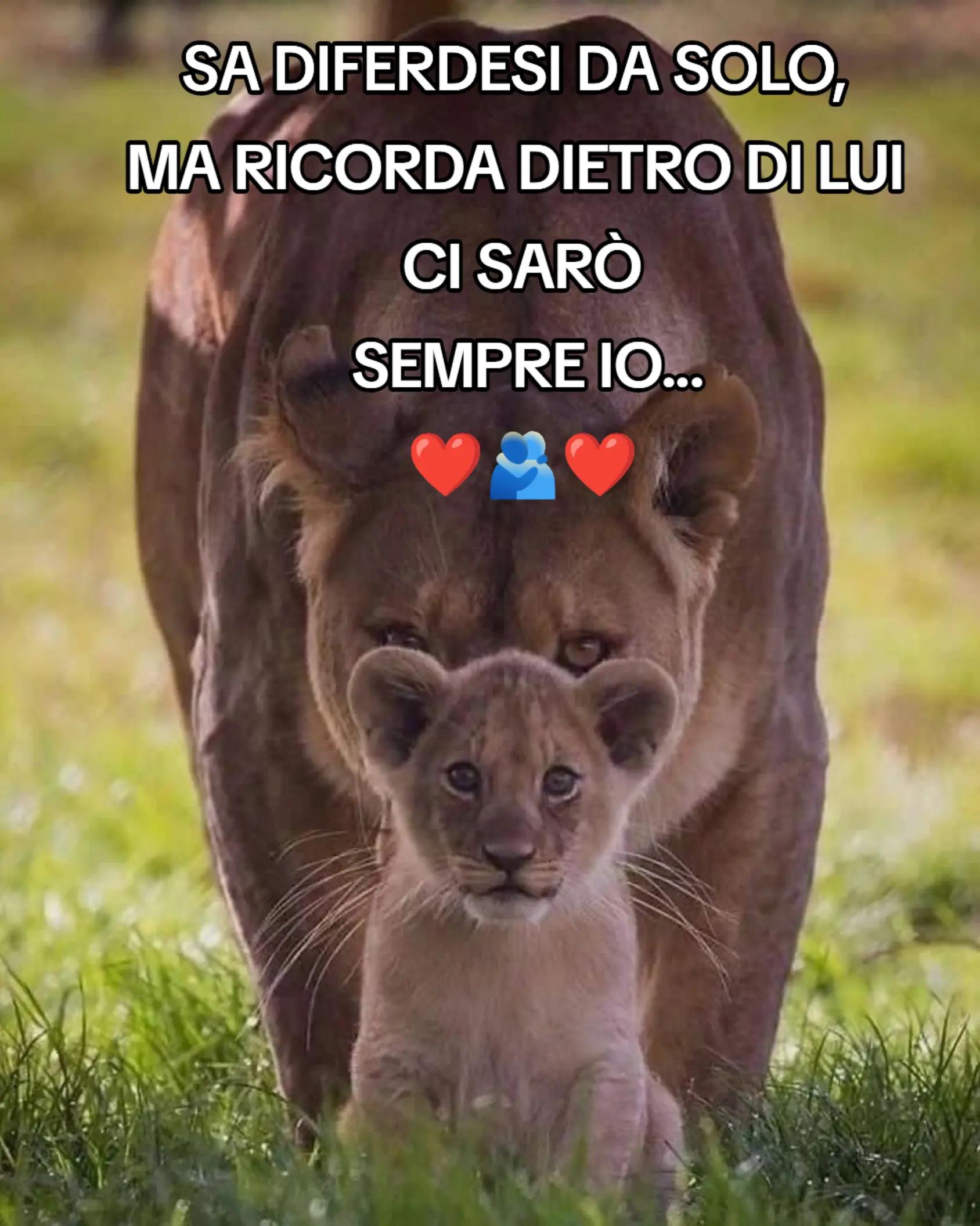 @Giusy Sciacca