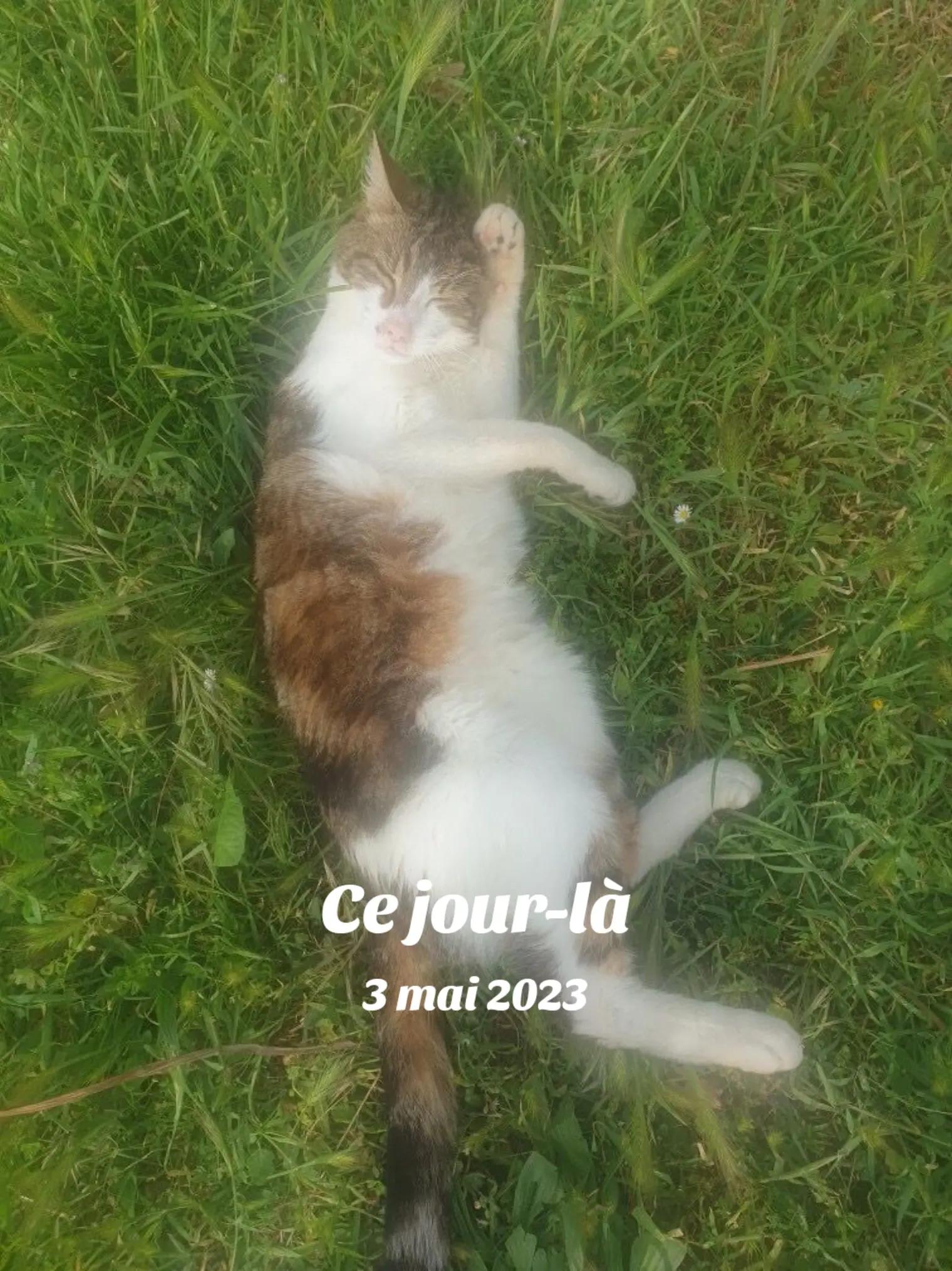 @flopy et Urion
