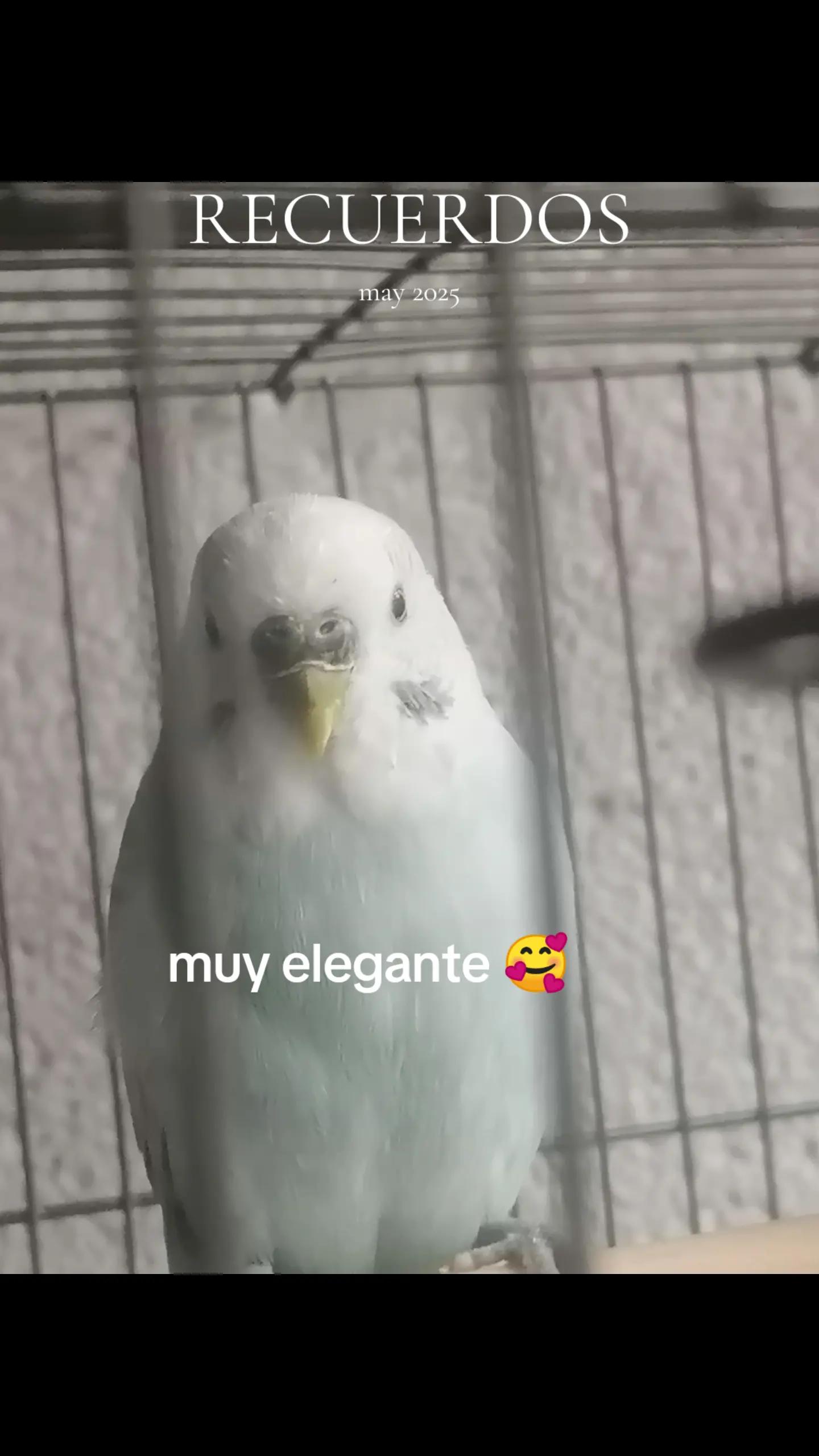 @migeposter