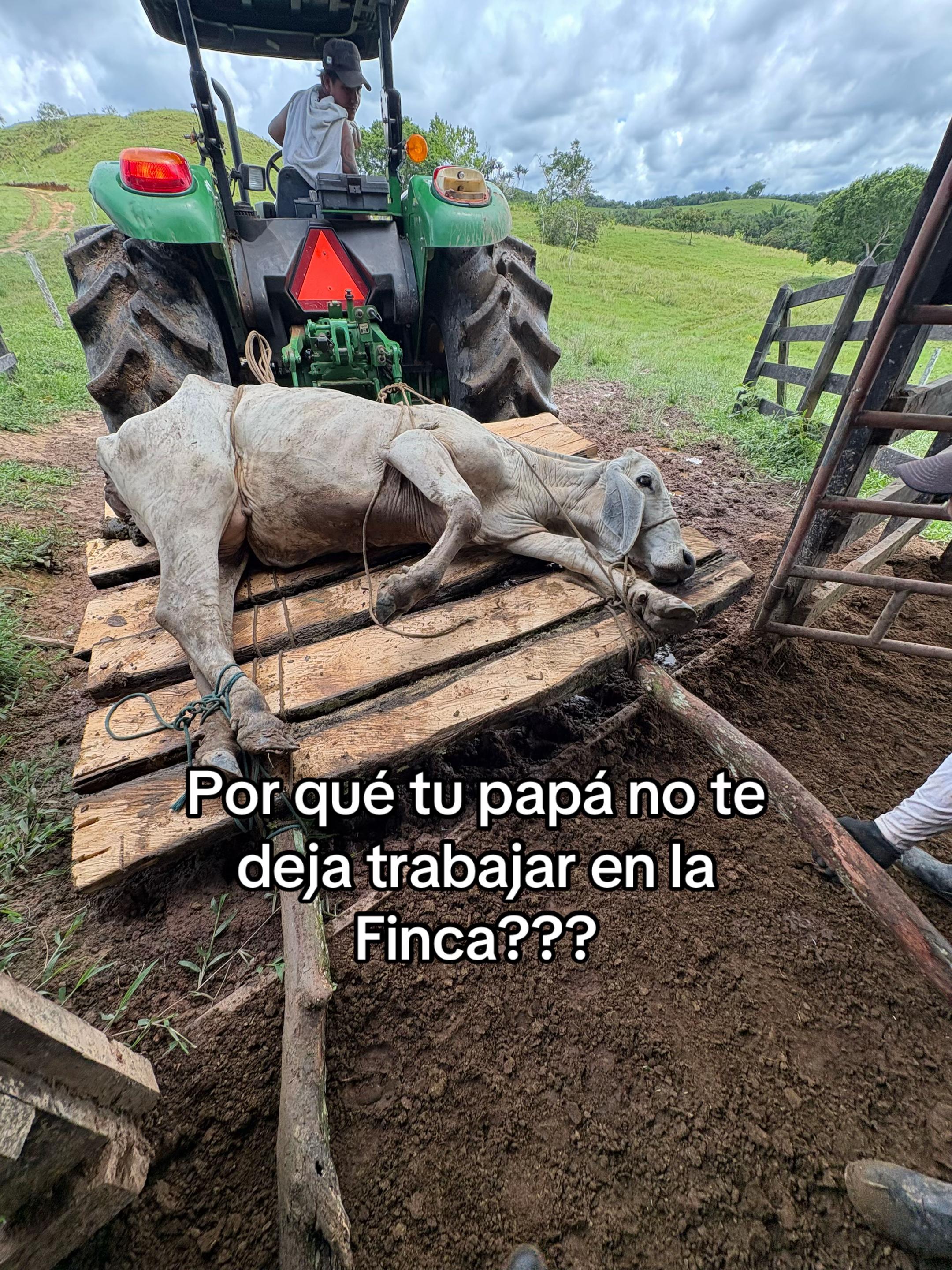@Didier_🤠
