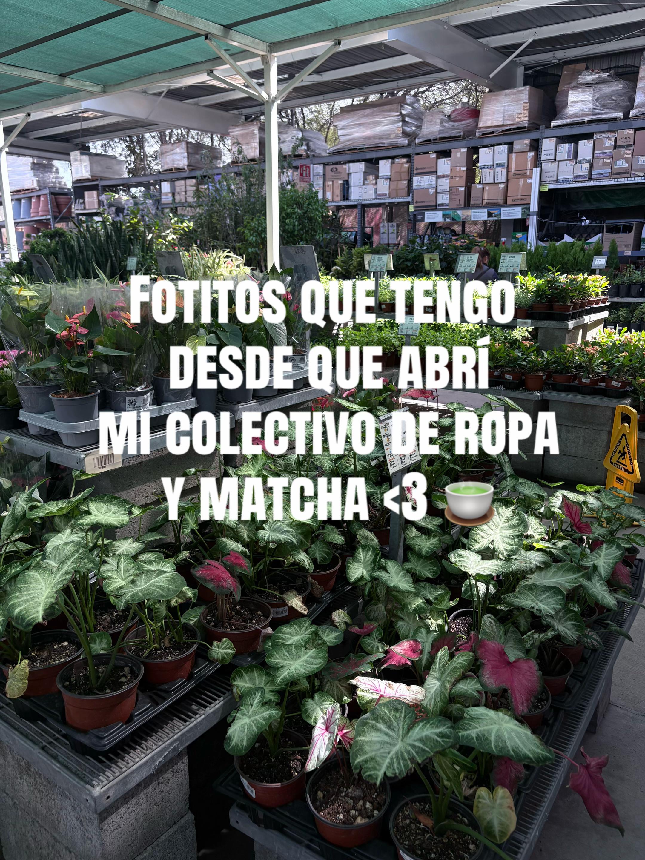 @6