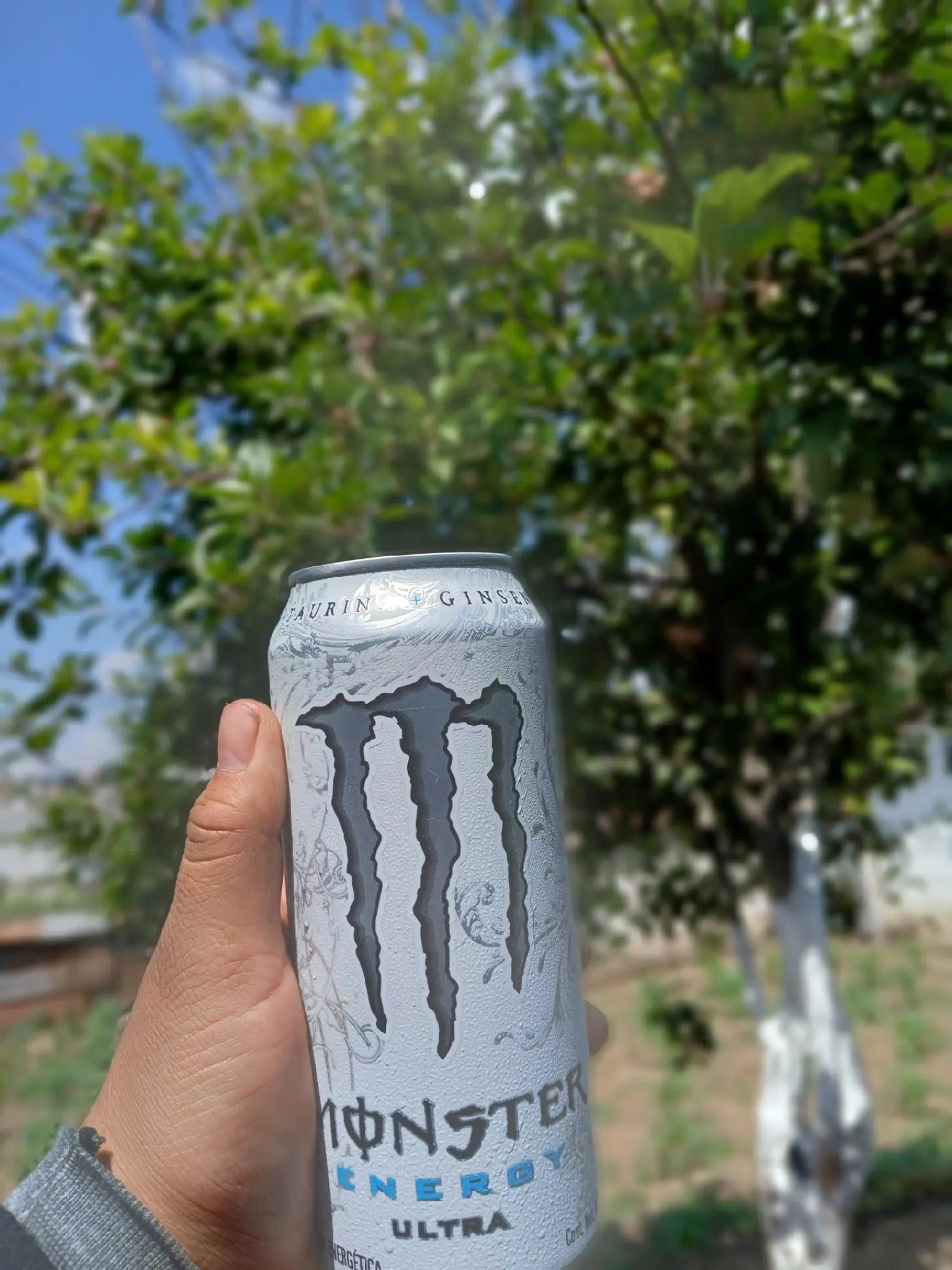 @꧁꧅𝙒𝘼𝙇𝙏𝙀𝙍🇬🇹𝙂𝙊𝙈𝙀𝙕꧅꧂