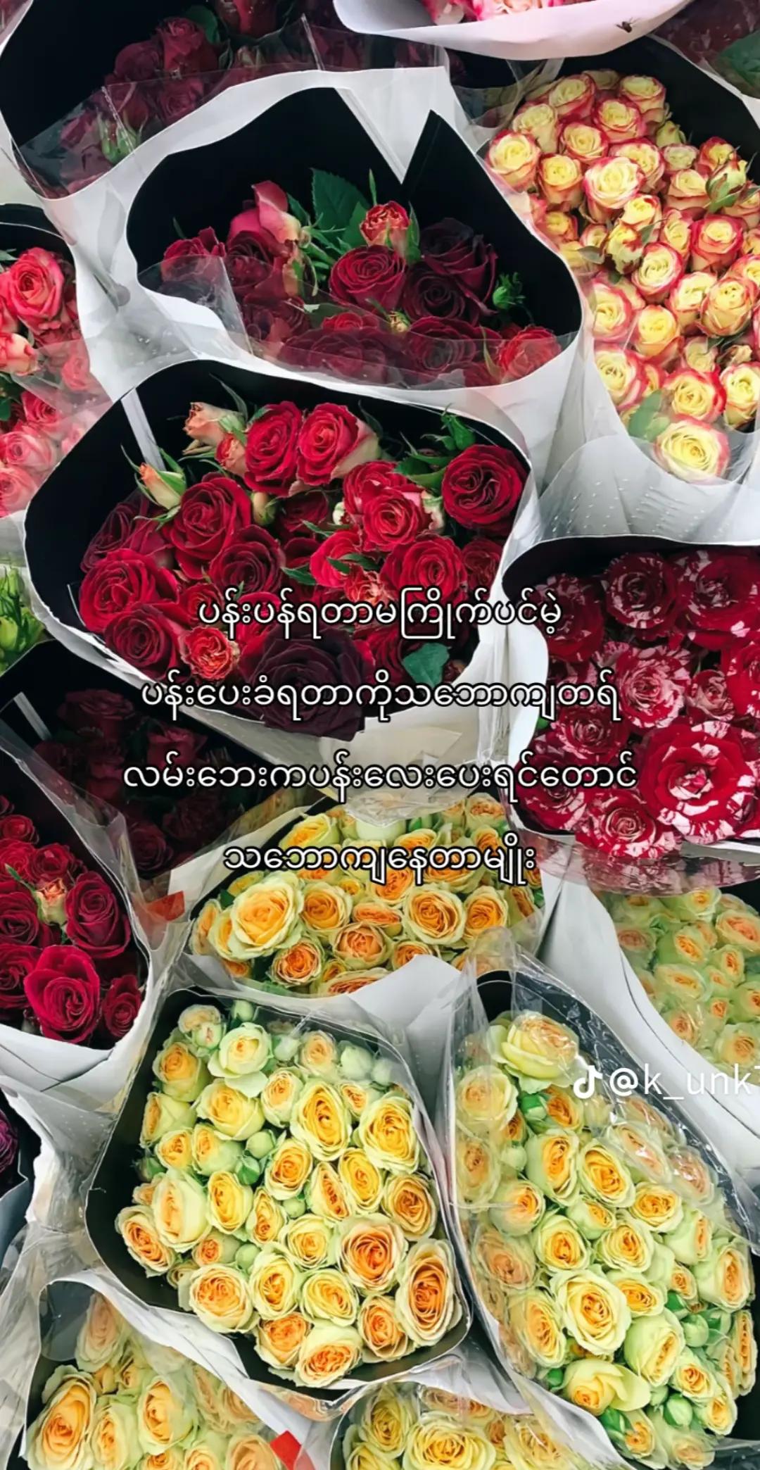 @đđSu Layđđ
