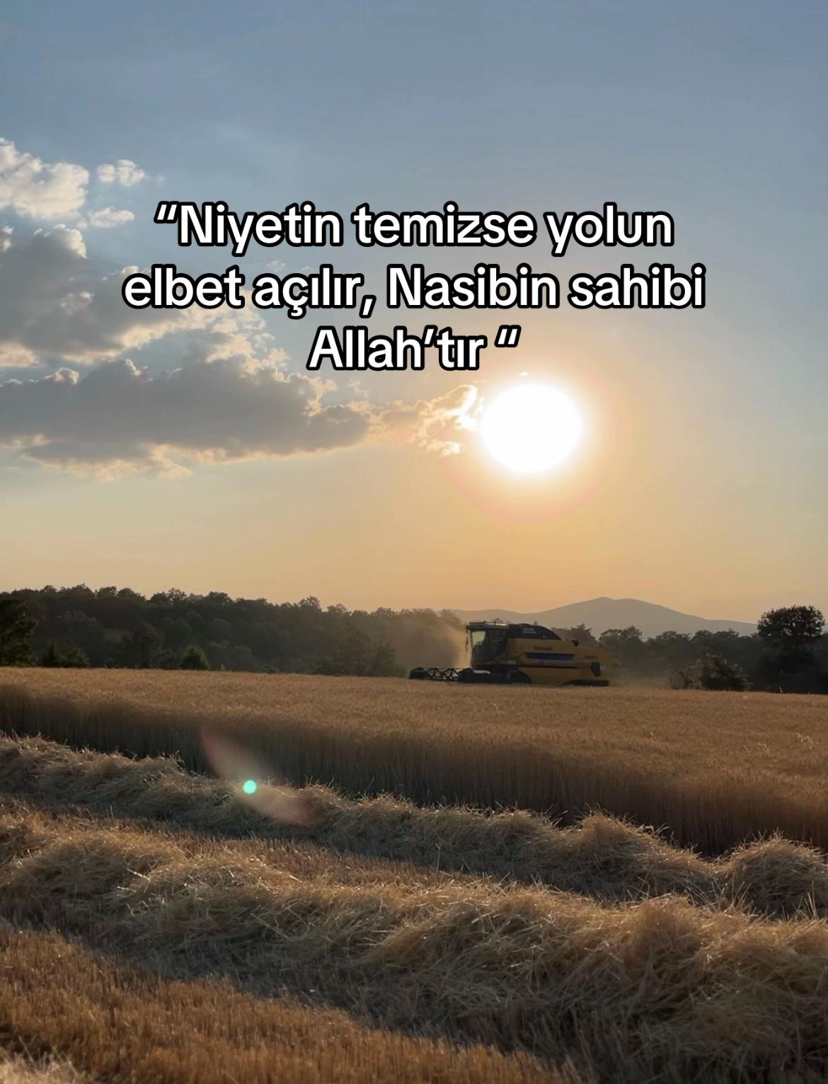 @ลABAN KOLTKA