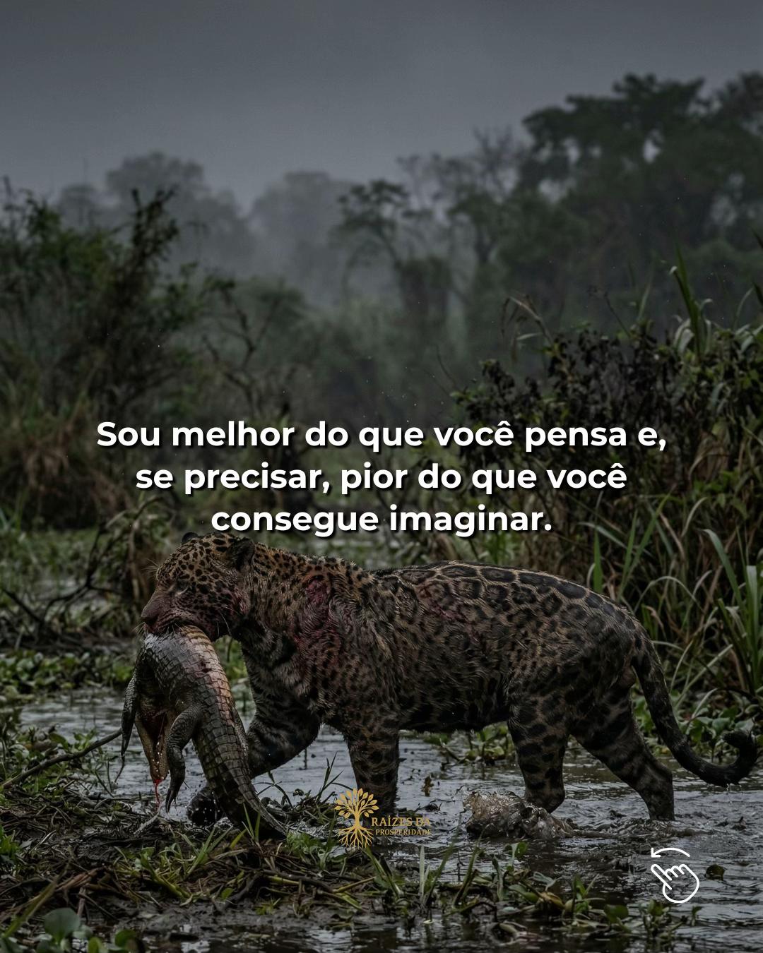 @Raízes da Prosperidade
