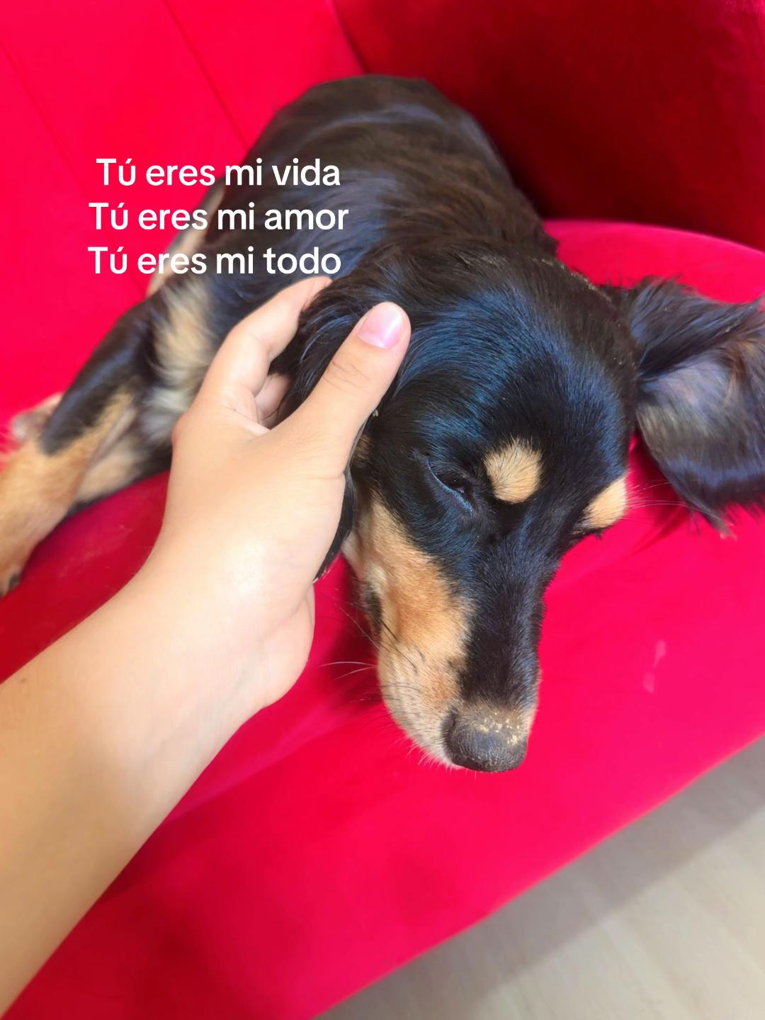 @Kirralin