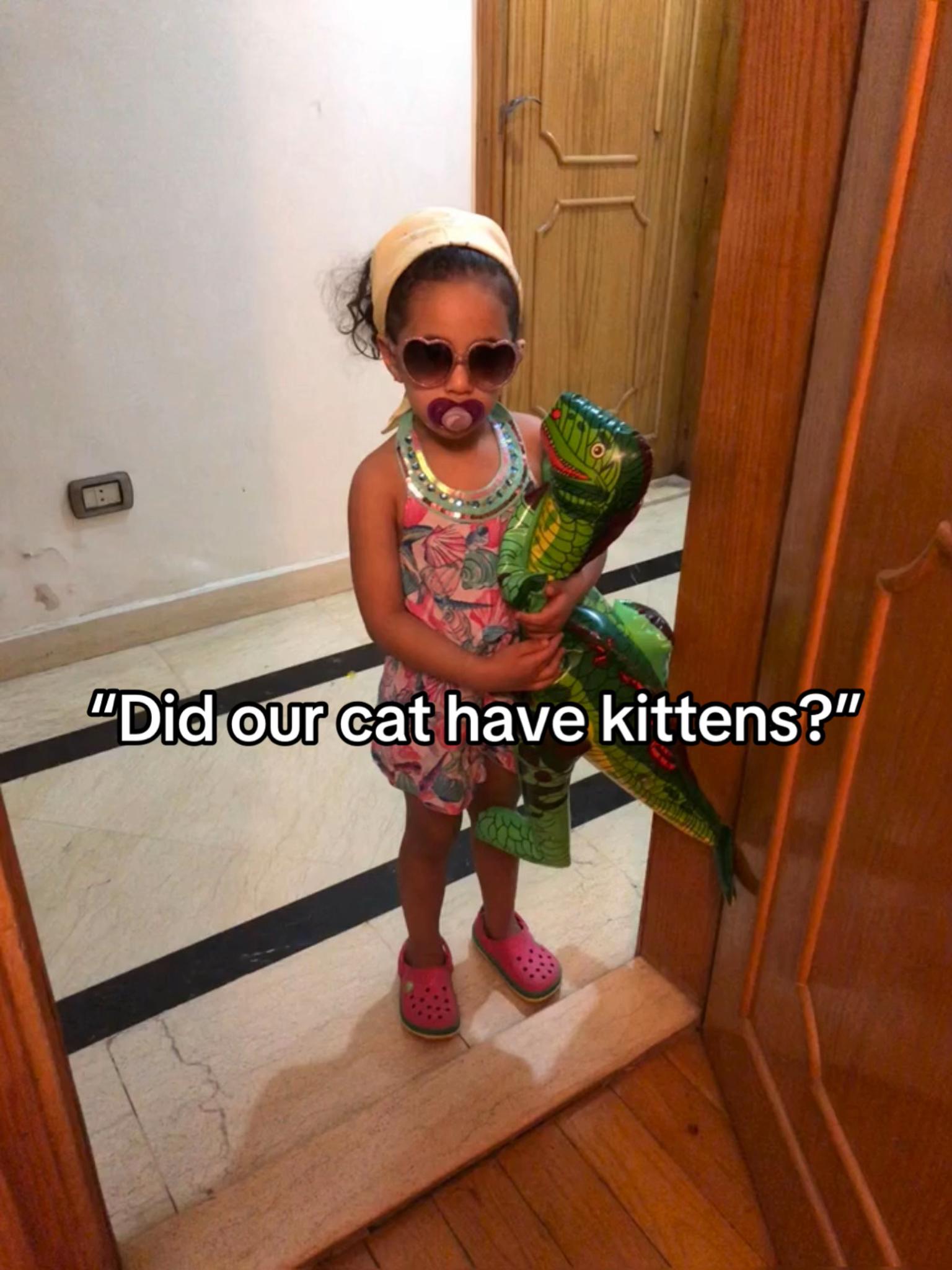 @Sabrina Tolba
