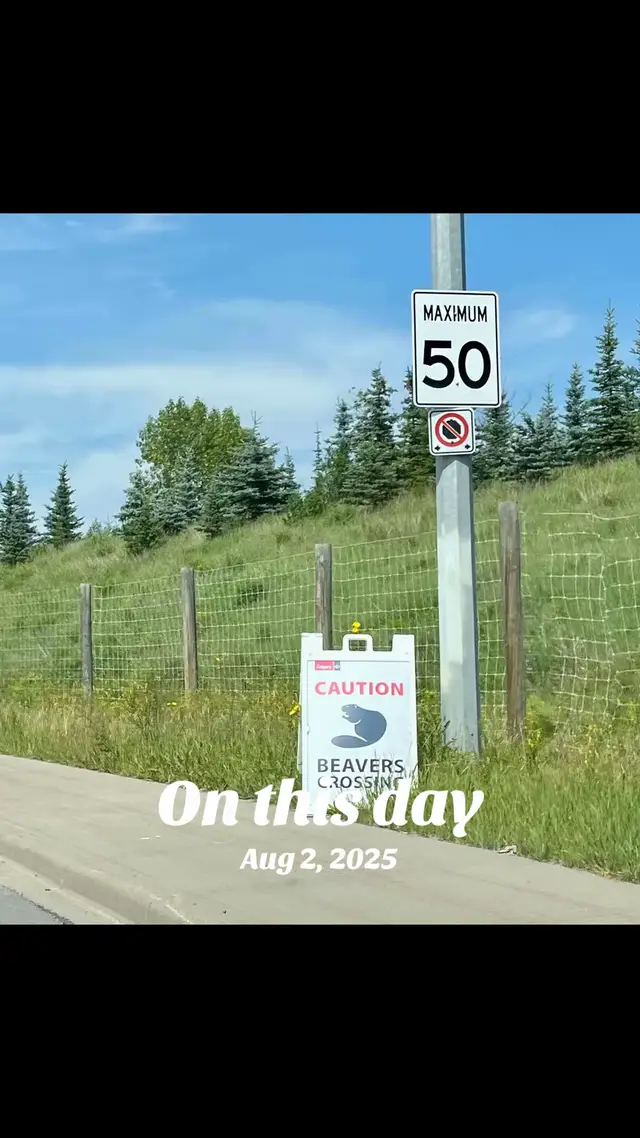 @DYNO_Trish_MK5🇨🇦
