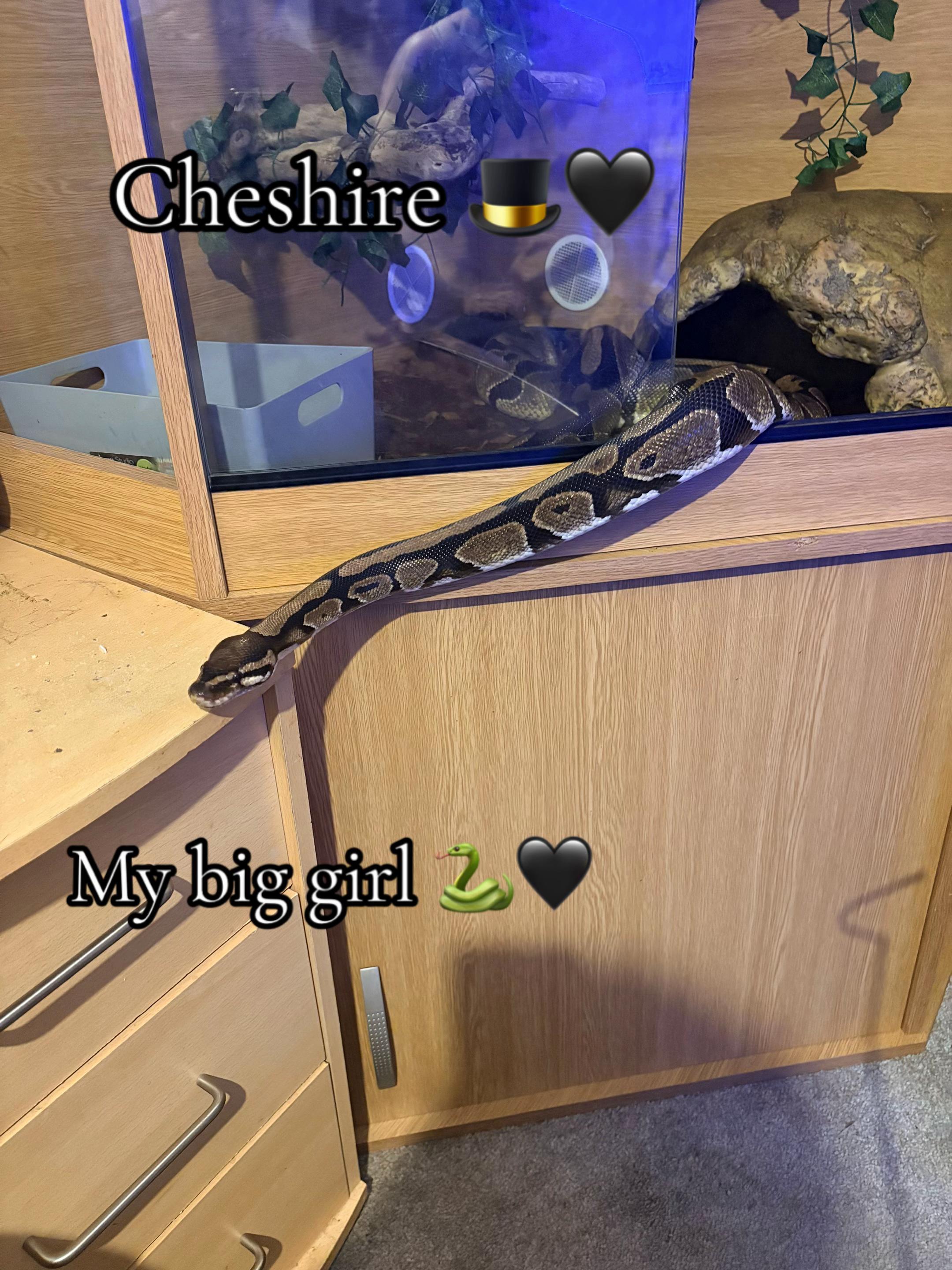 @🤍