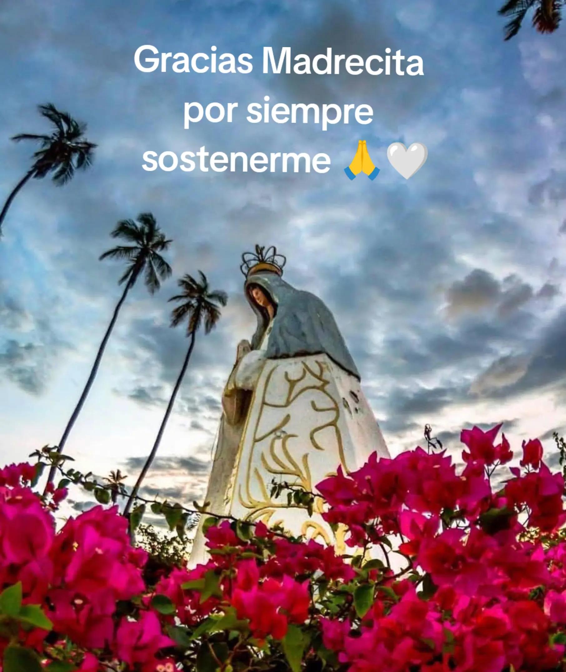 @videosimpactantes