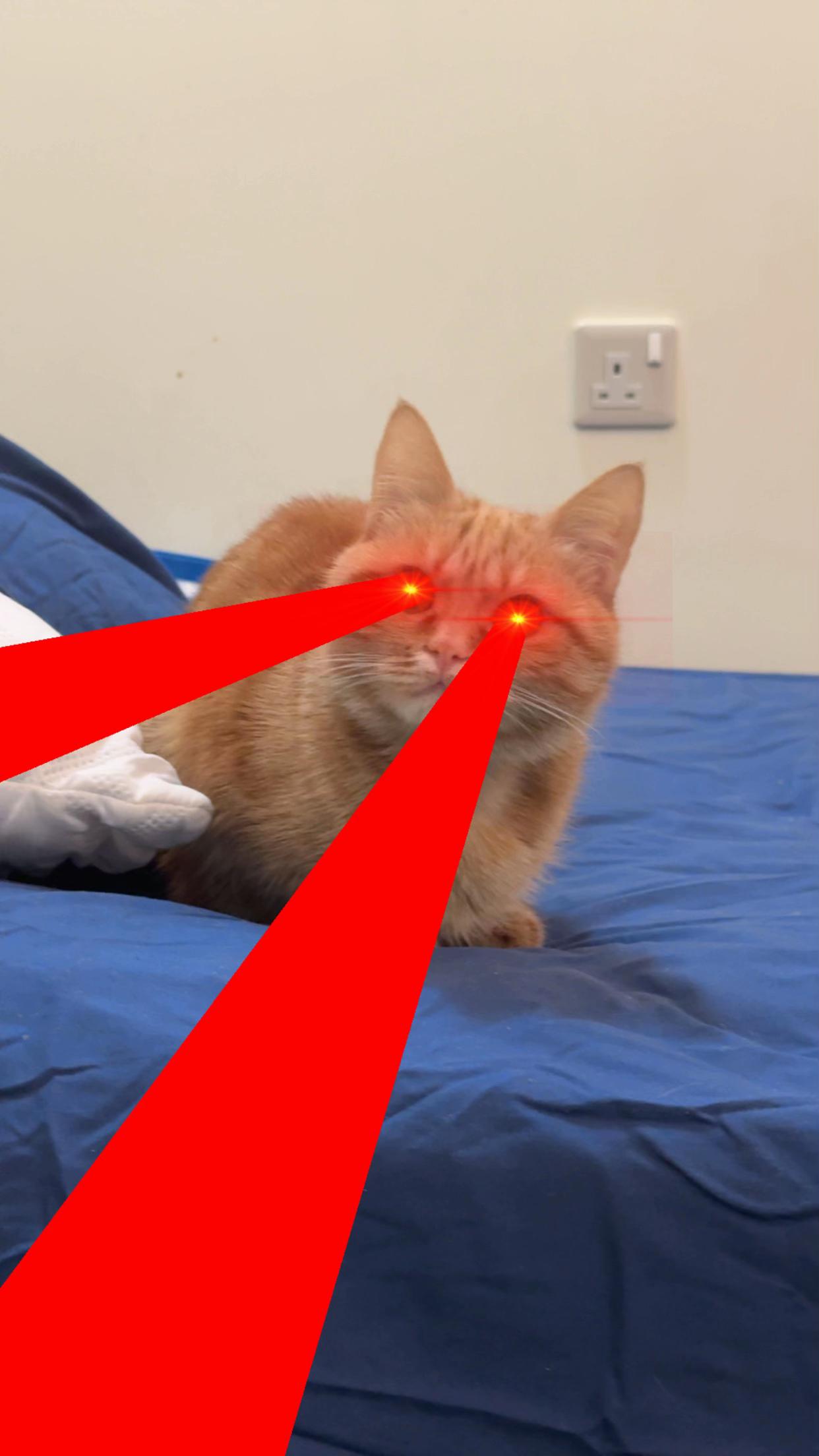 @3aslTheCat