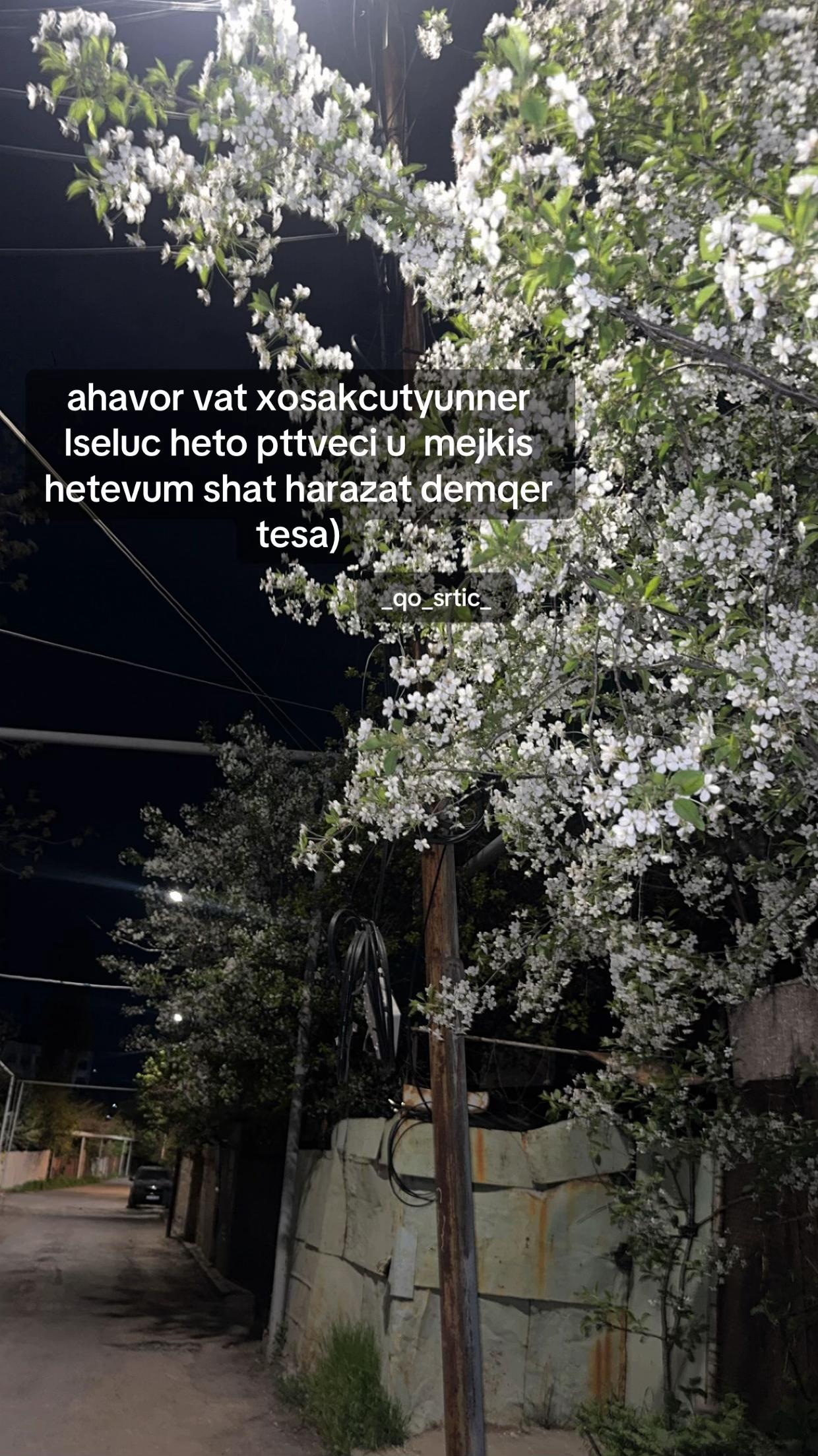 @_qo_srtic__