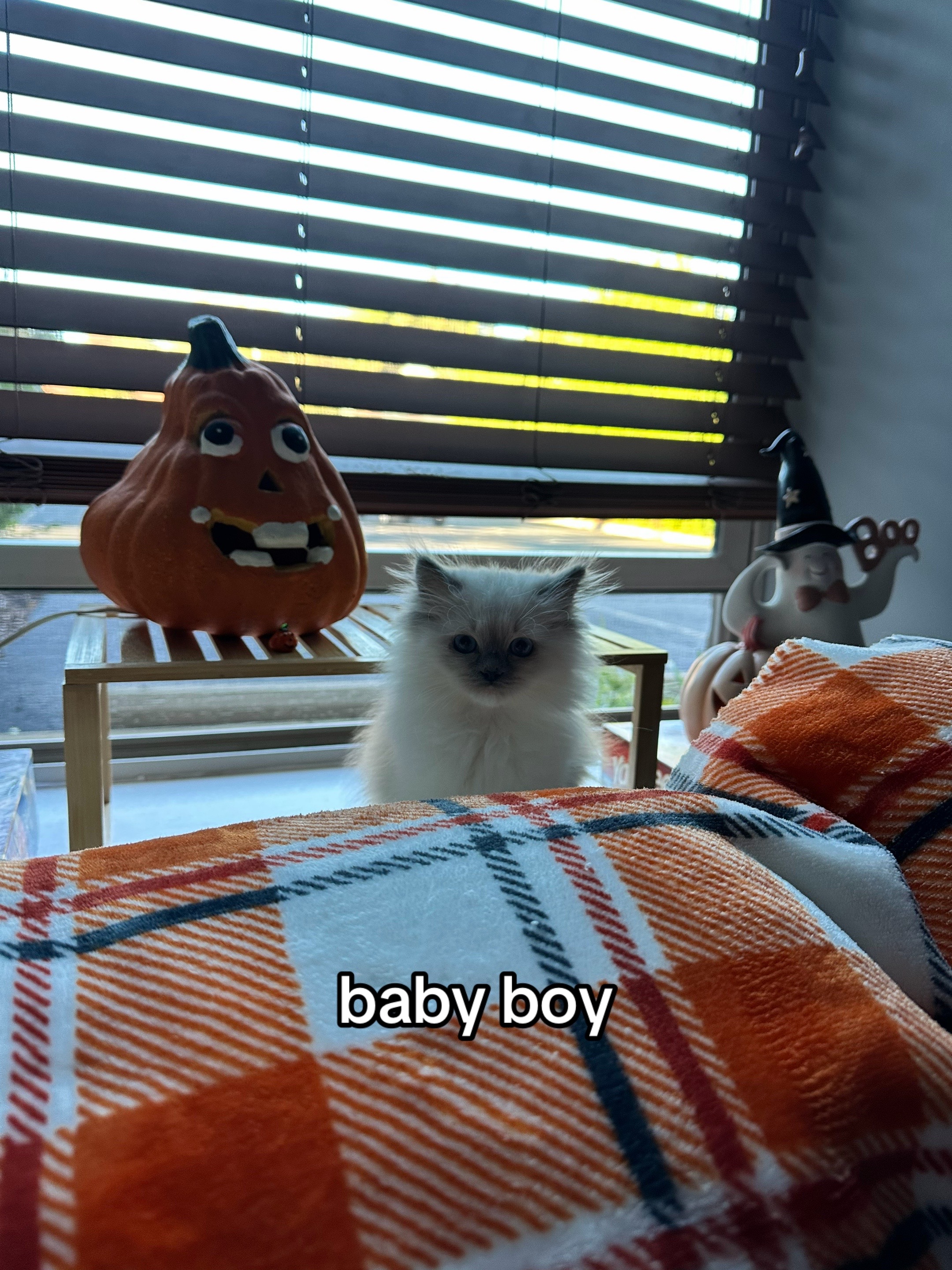 @kg