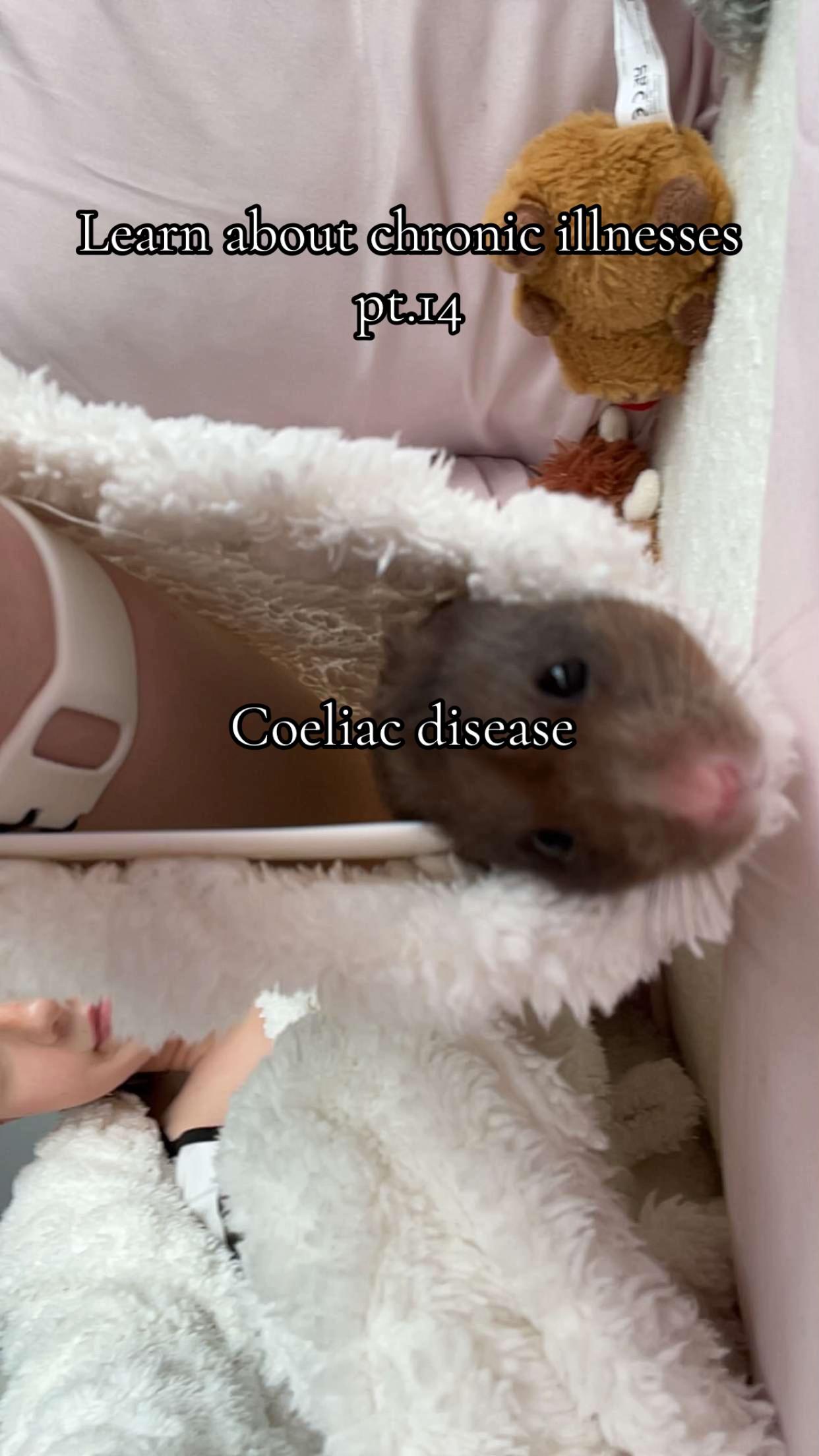 @𝓛𝓲𝓵𝔂 𝓪𝓷𝓷