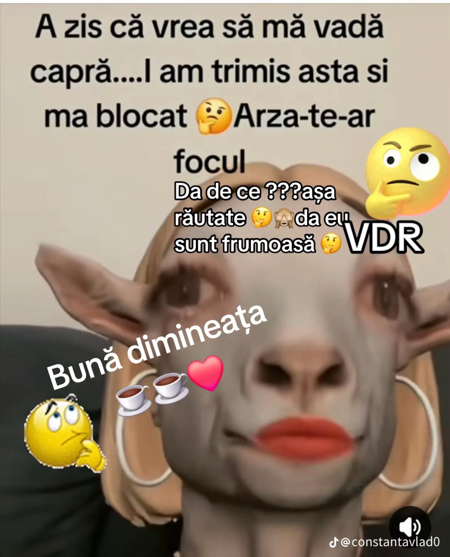 @obaciulucica