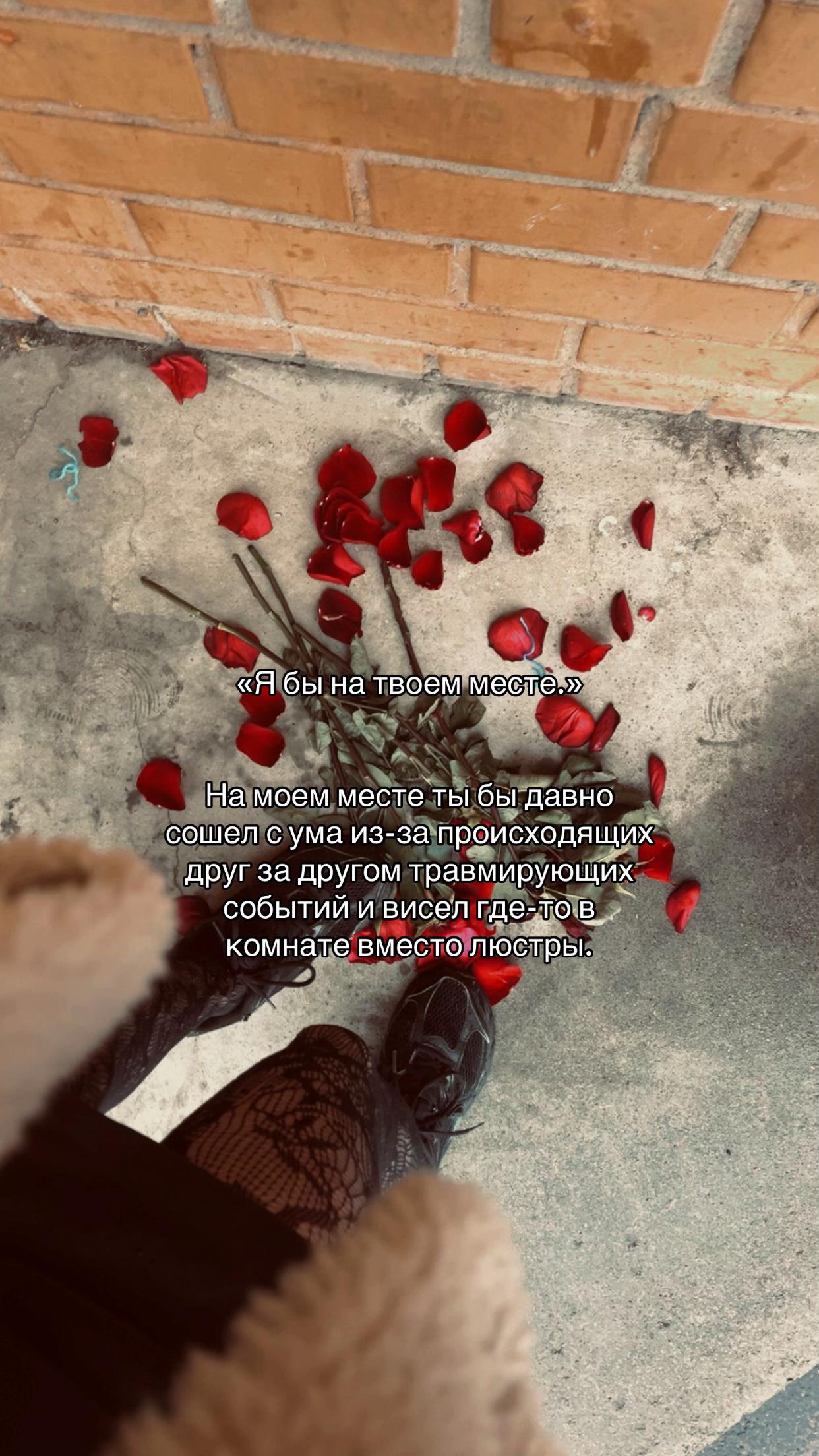 @Просто Лера