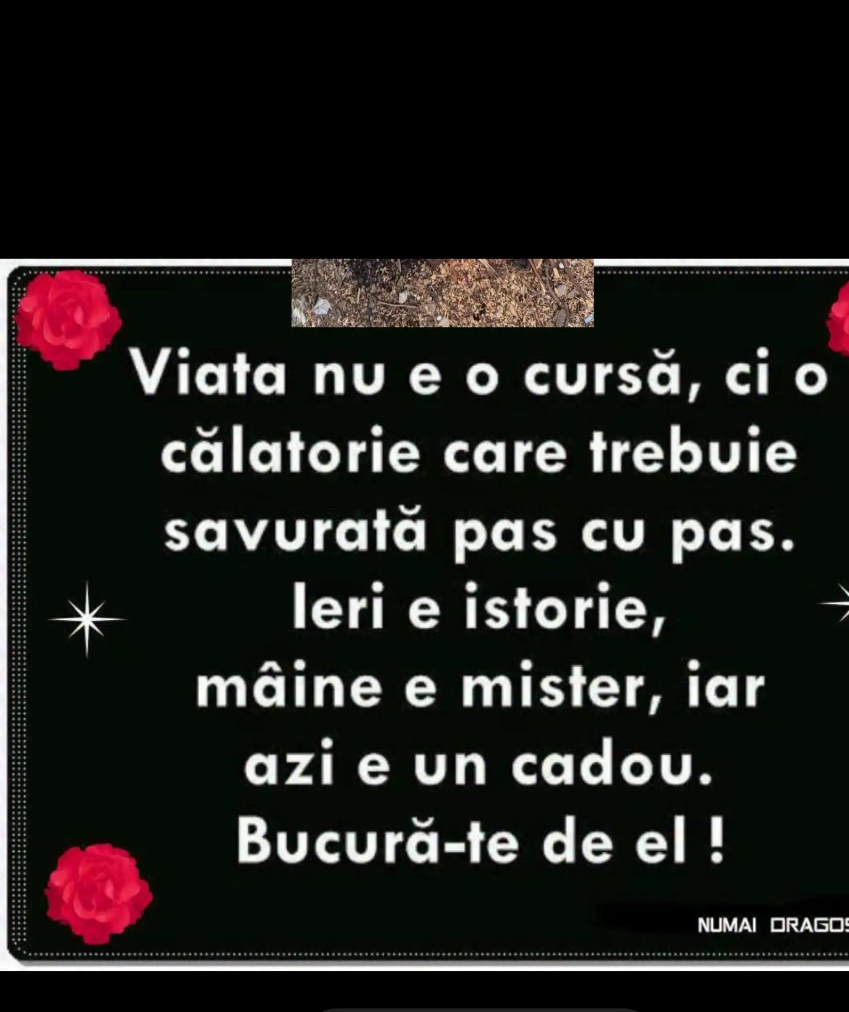@Sebastian Luminița